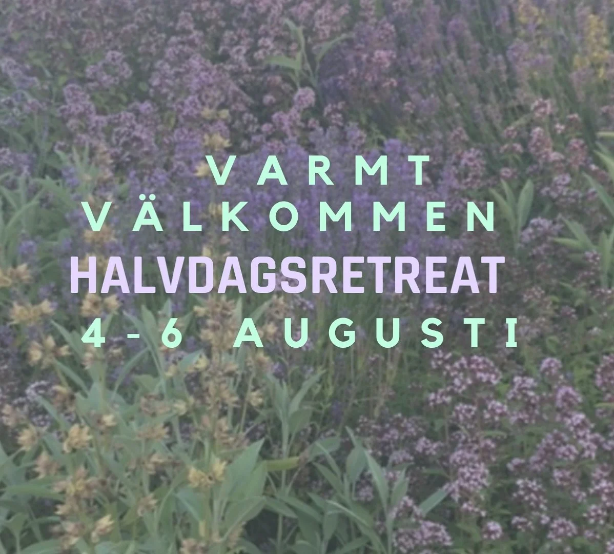 Halvdagsretreat 4-6 augusti kl.13-16:30
Varmt v&auml;lkommen till tre halvdagar d&auml;r du f&aring;r &auml;gna dig &aring;t dig sj&auml;lv och vara i det som du beh&ouml;ver. Ladda och landa i dig sj&auml;lv. Kanske har du g&aring;tt p&aring; semest