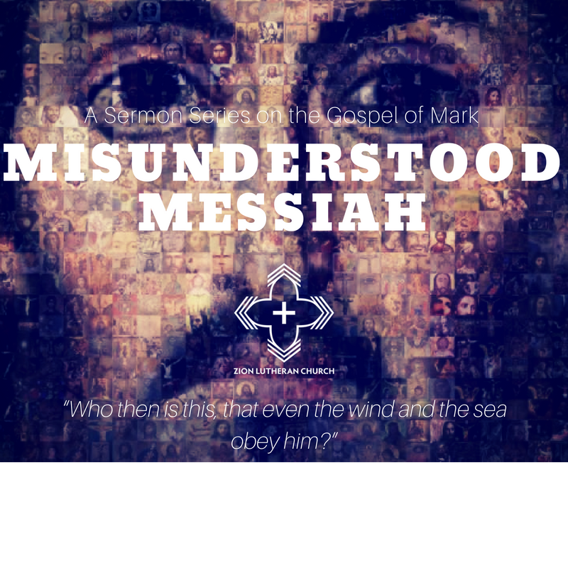 MisunderstoodMessiahSERIES.png