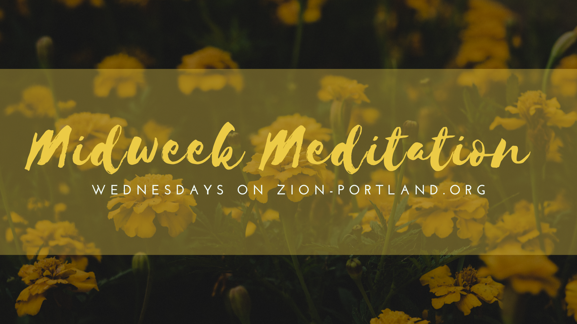 Midweek Meditation: Being Transformed (05.06.20) 