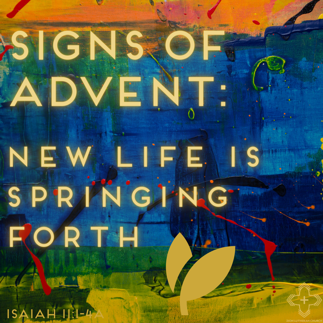 Zion Sunday Service - Advent 1 (11.29.20)