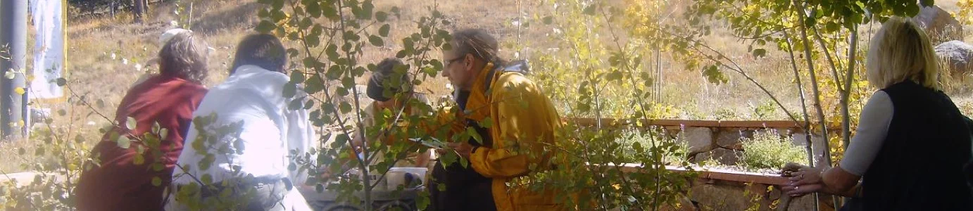 backgroundimage_1 5.jpg