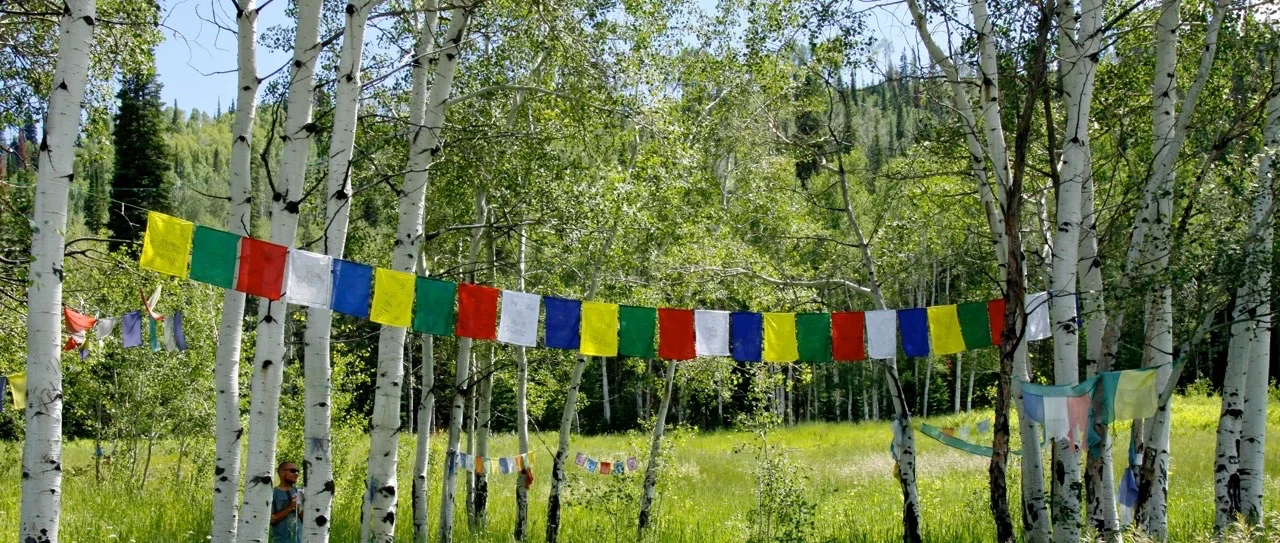 prayer_flags8.jpg