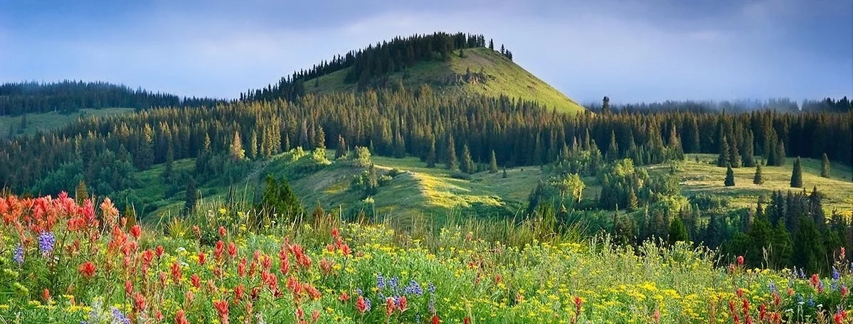 Backcountry Bouquet_LoRes LoRes.jpg