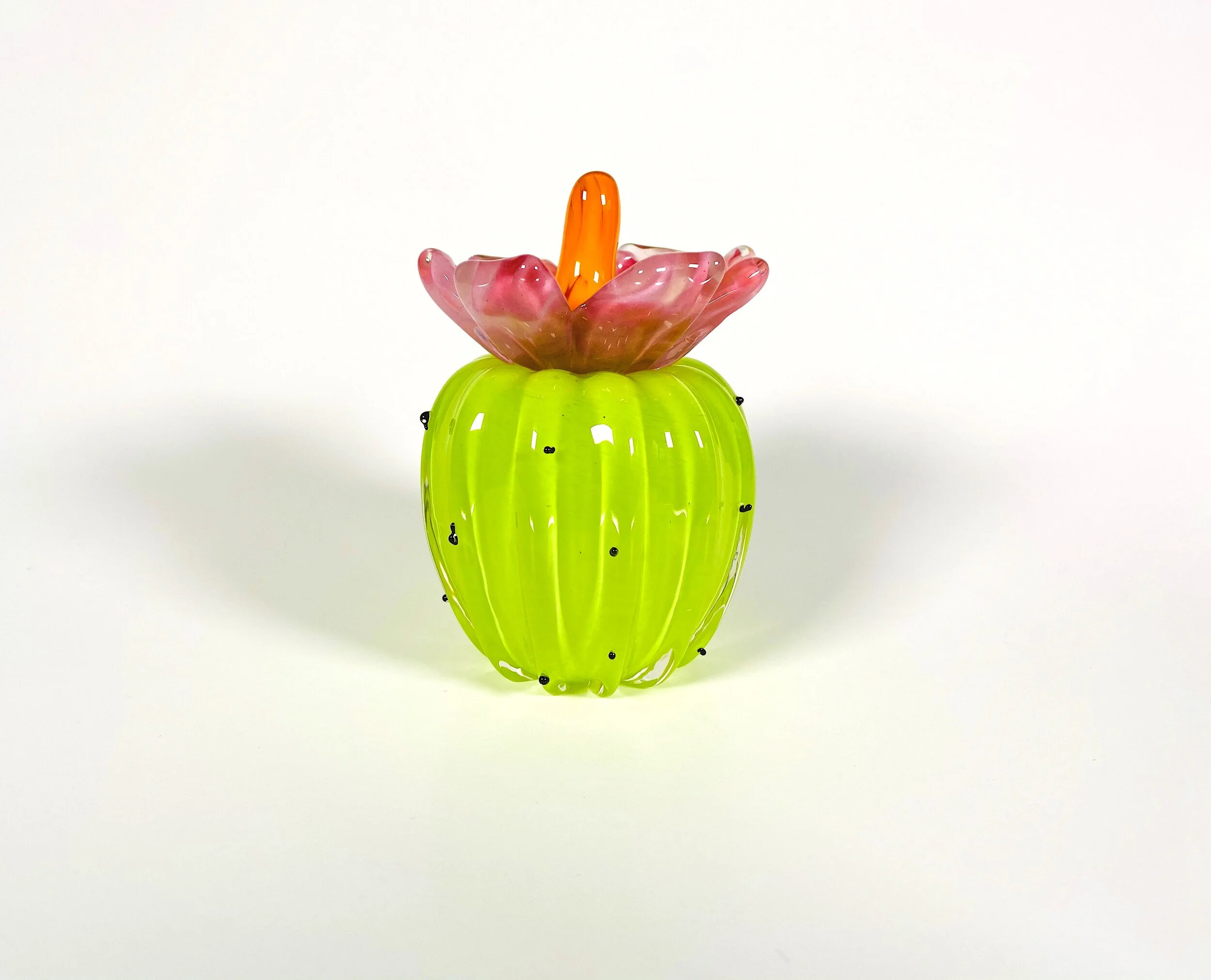 Cactus With Pink Flower