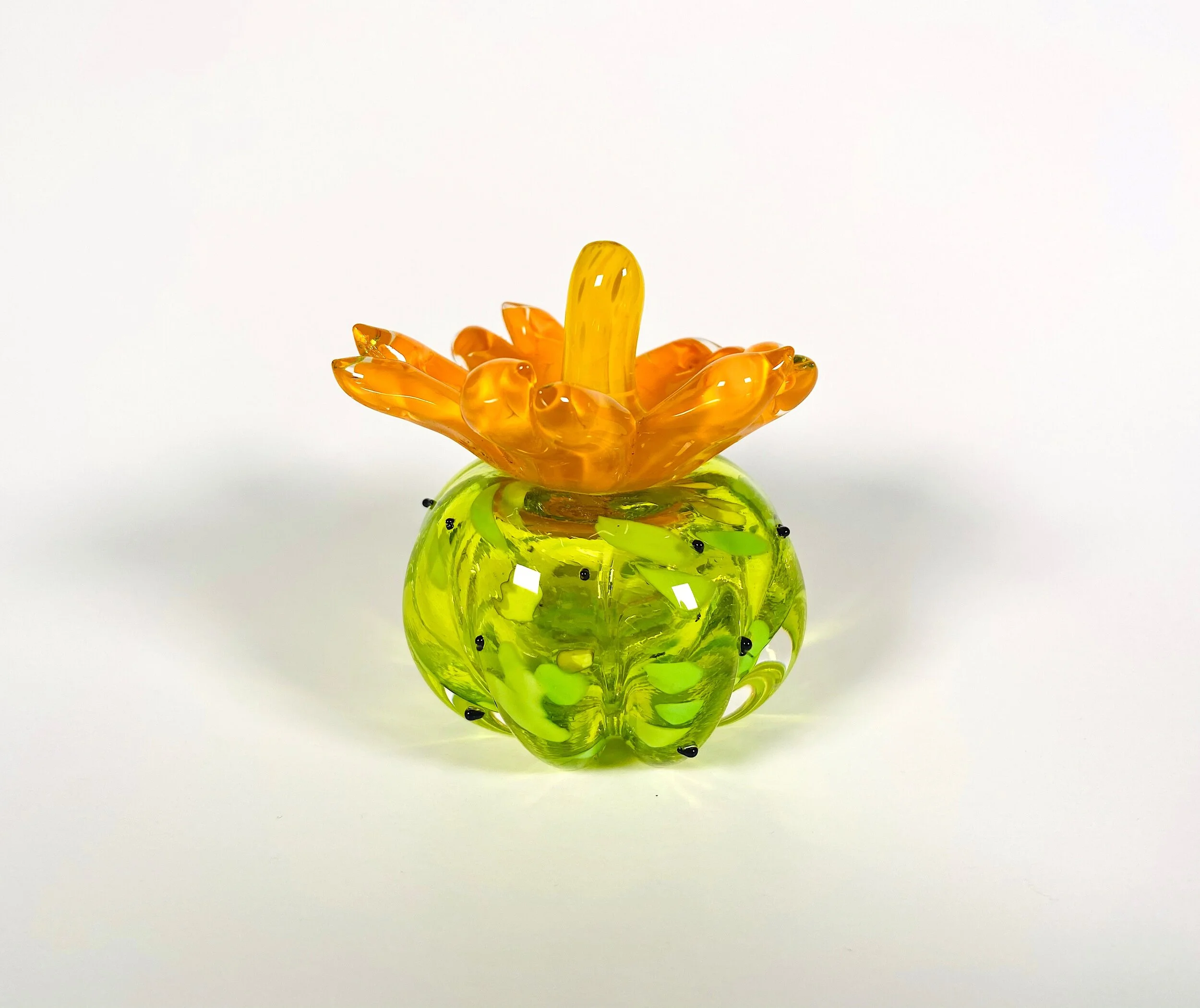 Tiny Cactus