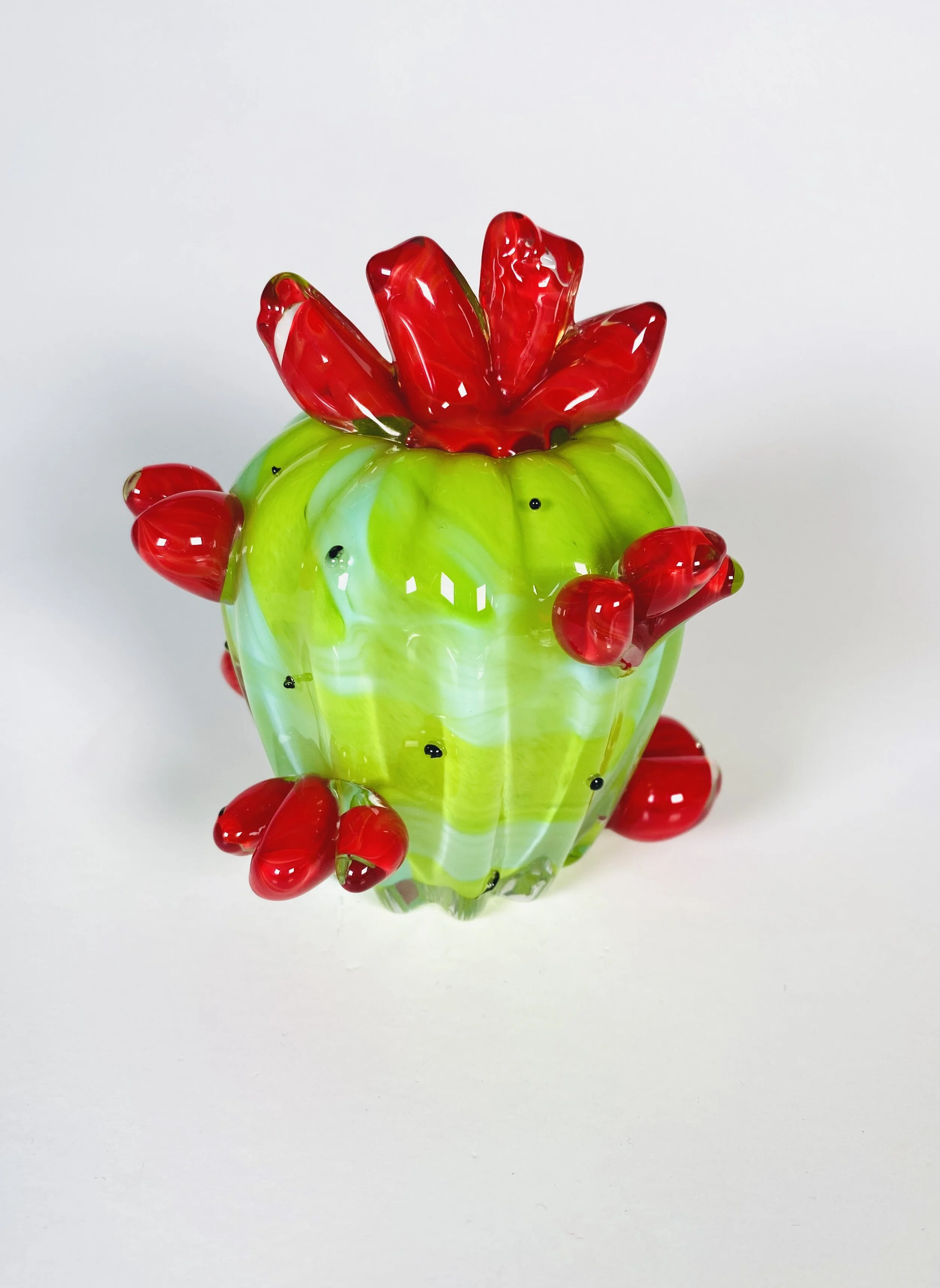 Mystery Machine Cactus