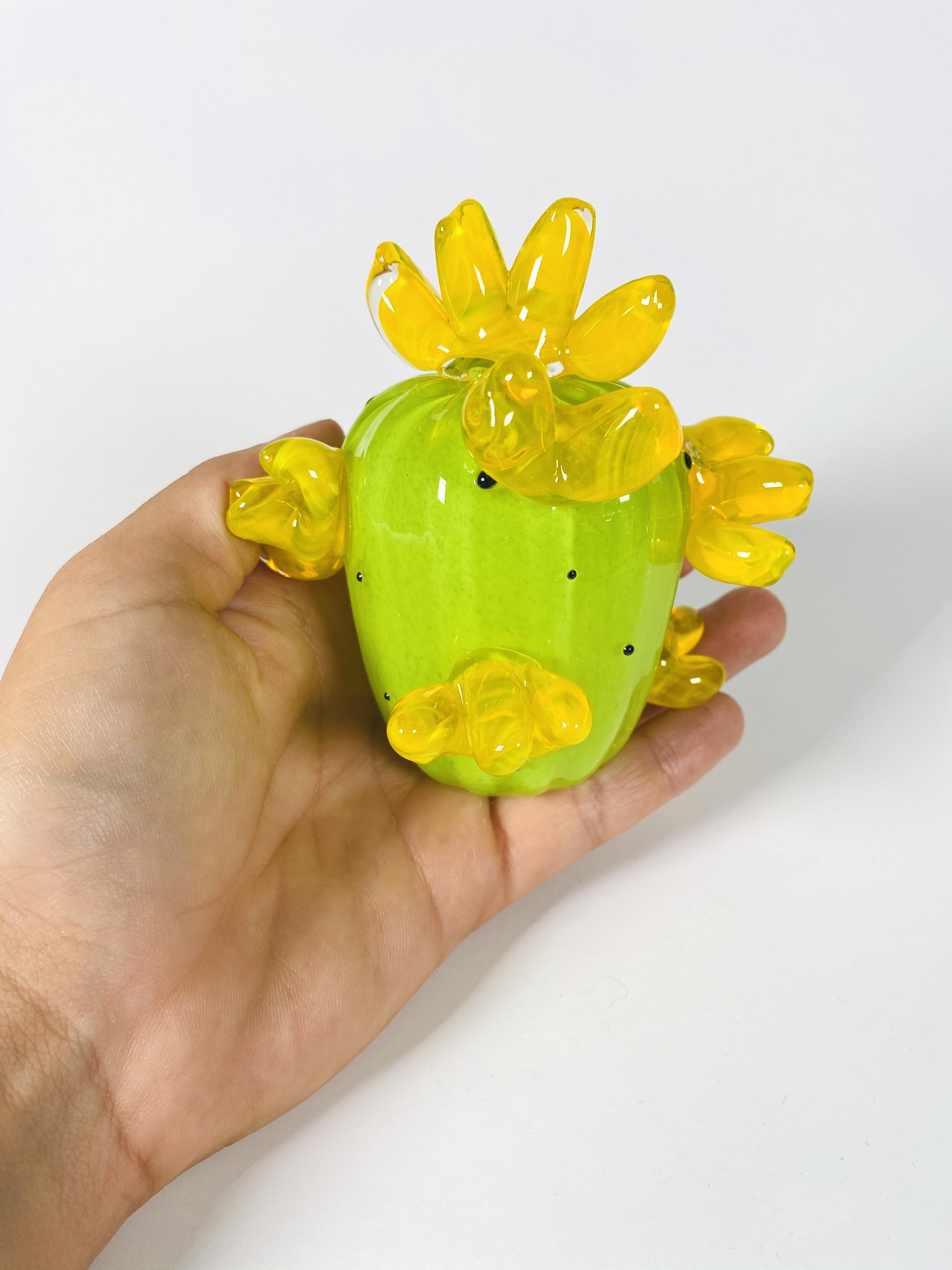 Little Yellow Flower Cactus
