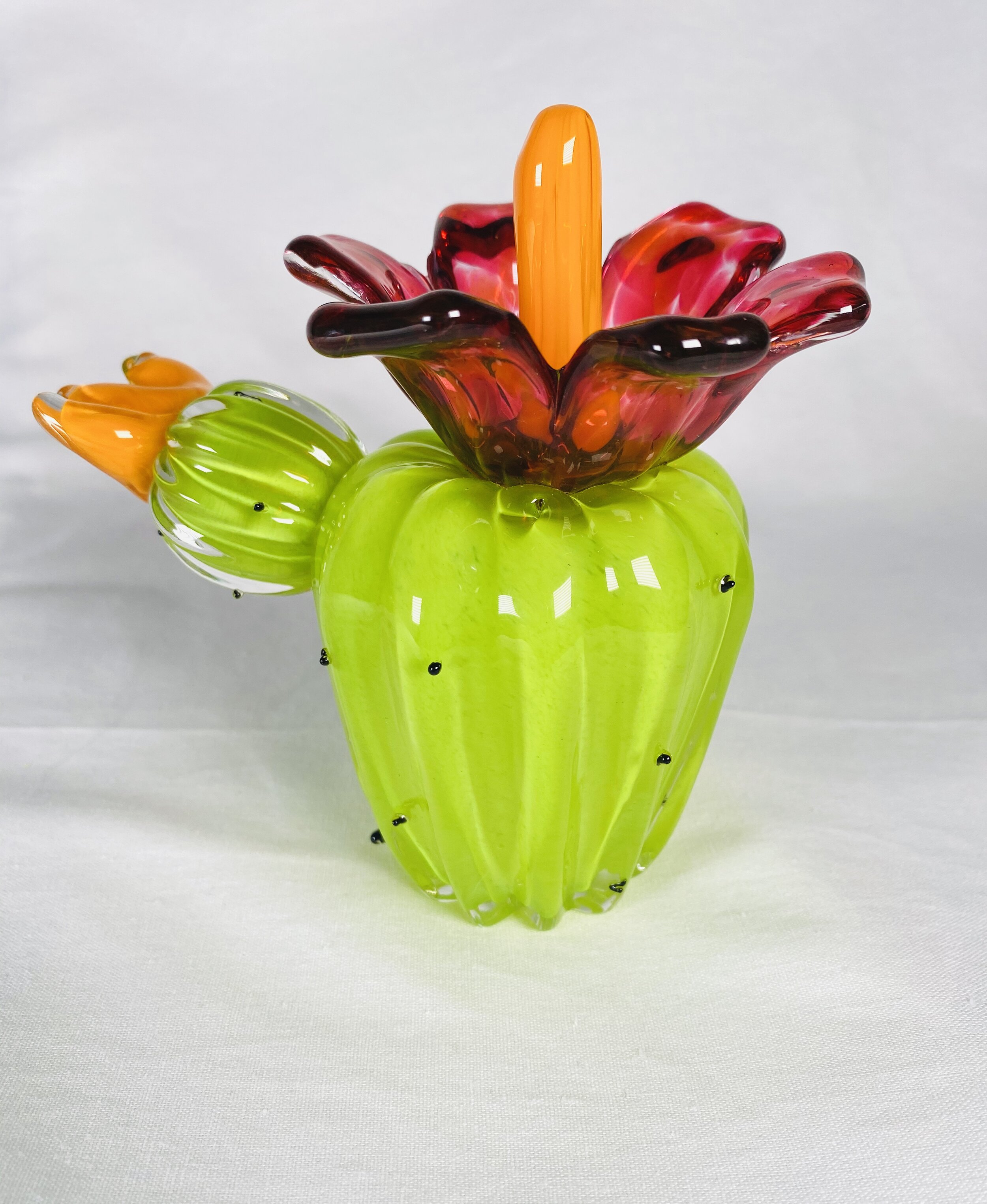 Gold Ruby Tuna Cactus