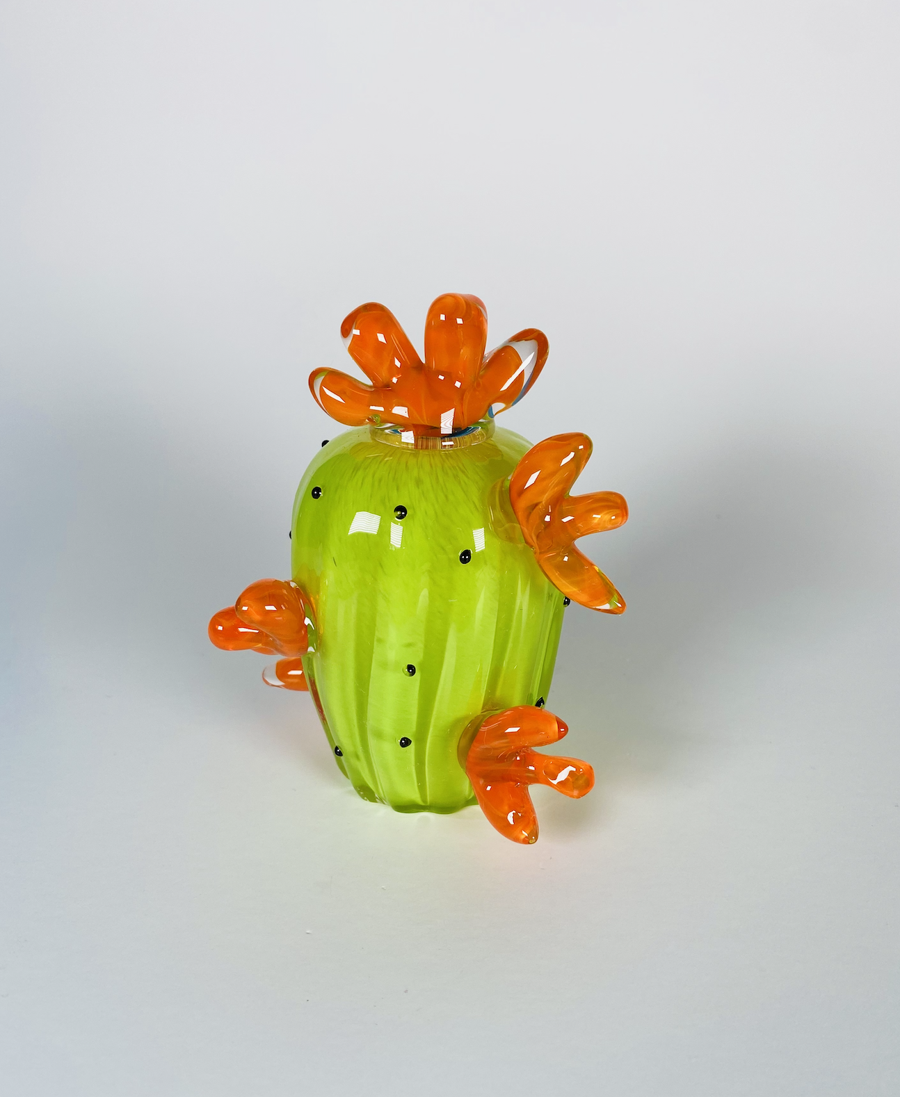Little Orange Flowers Cactus 