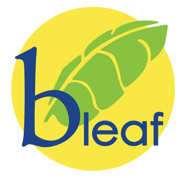 Bleaf Natural