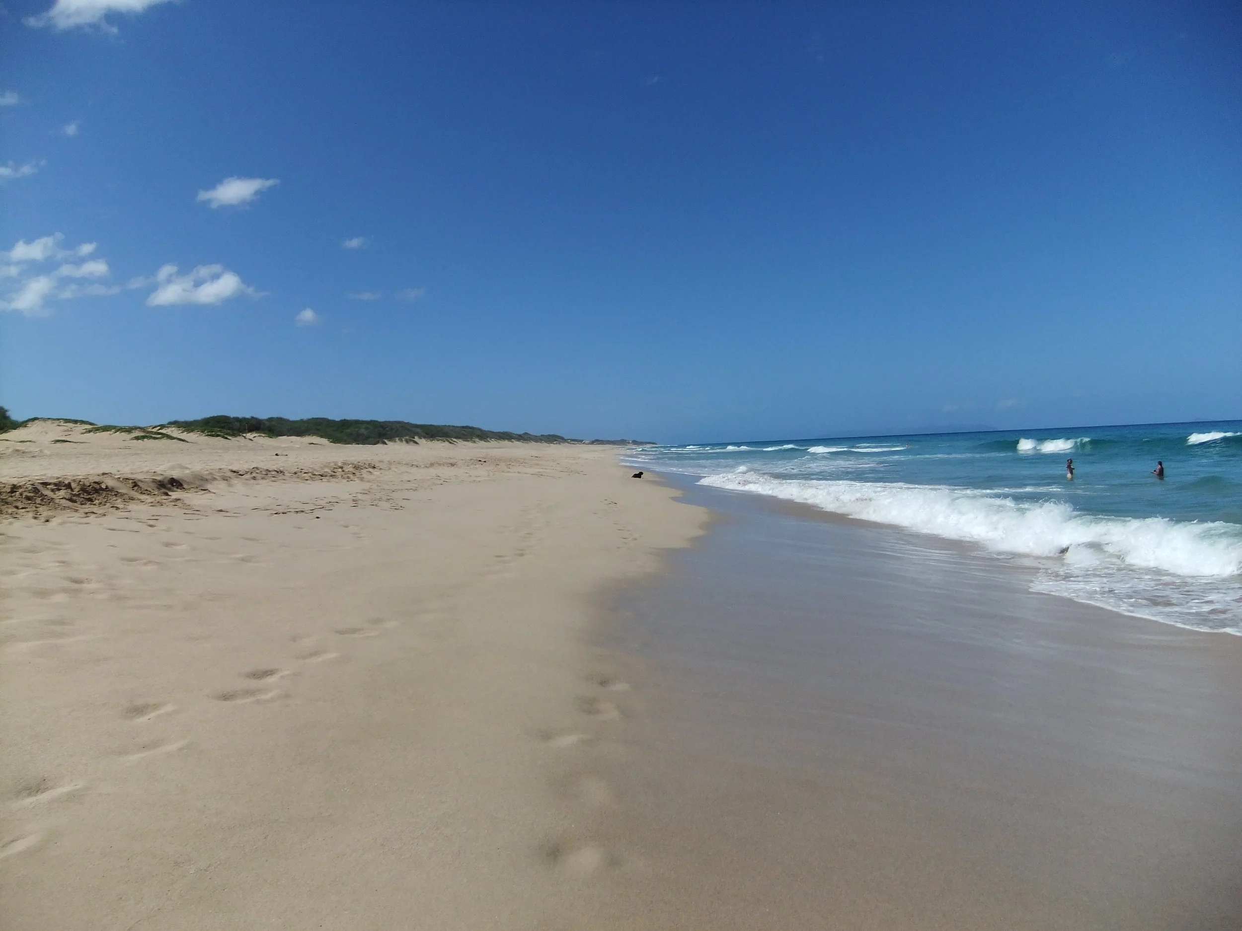DSCF2290.JPG