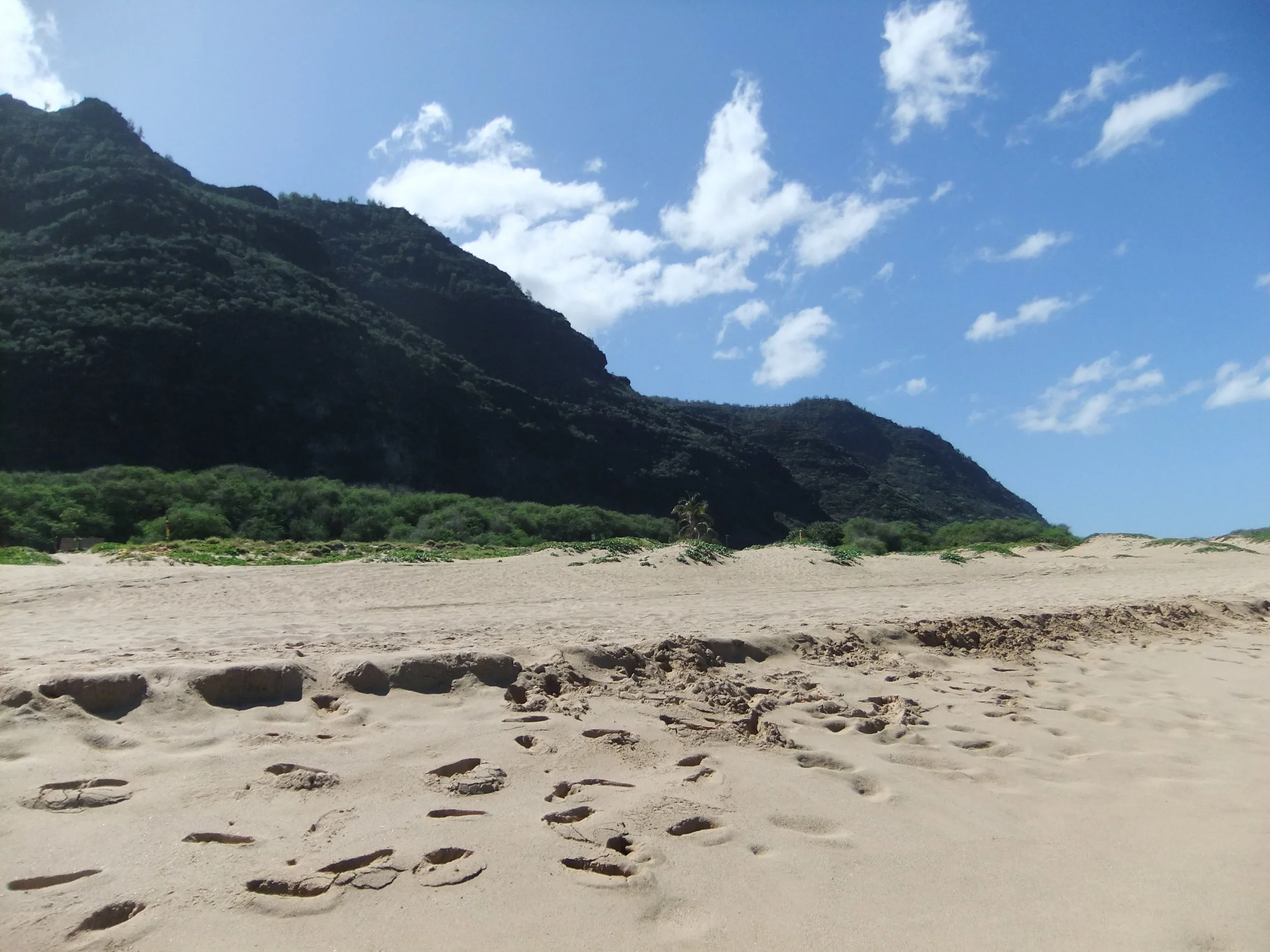 DSCF2291.JPG