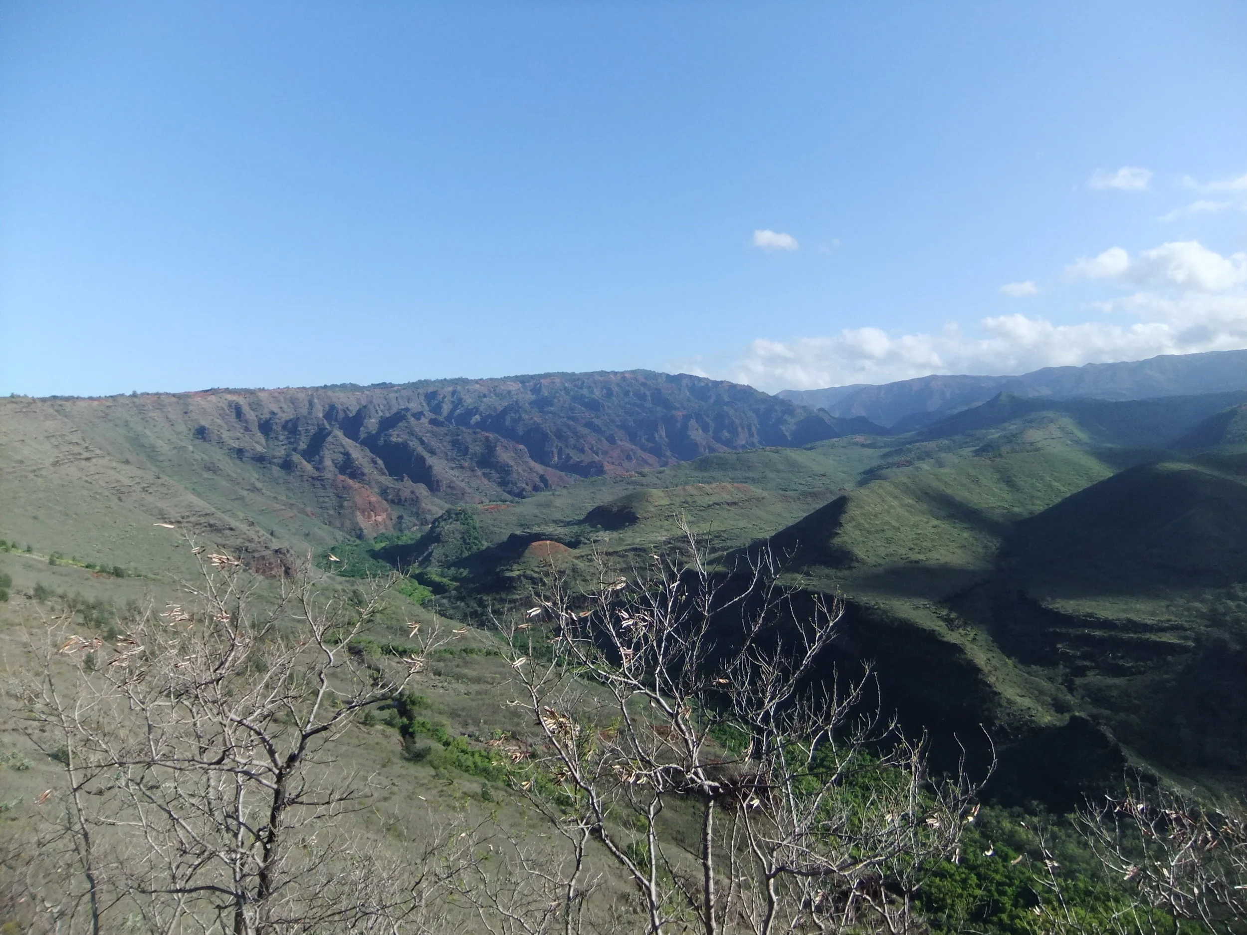 DSCF2274.JPG