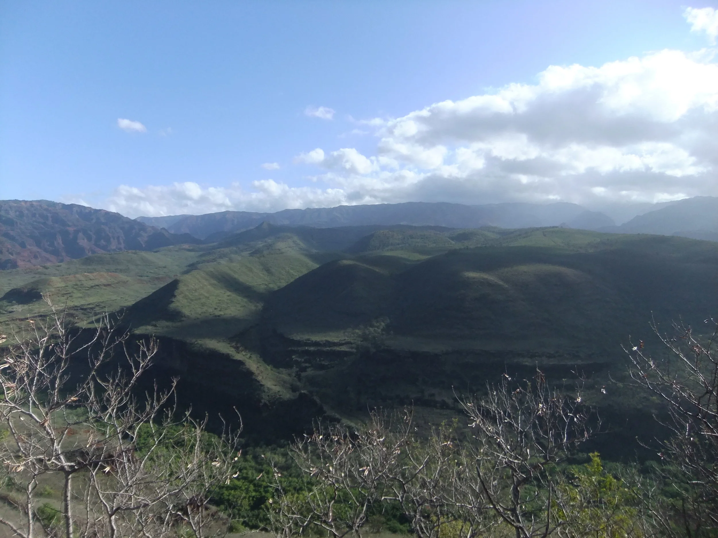 DSCF2275.JPG