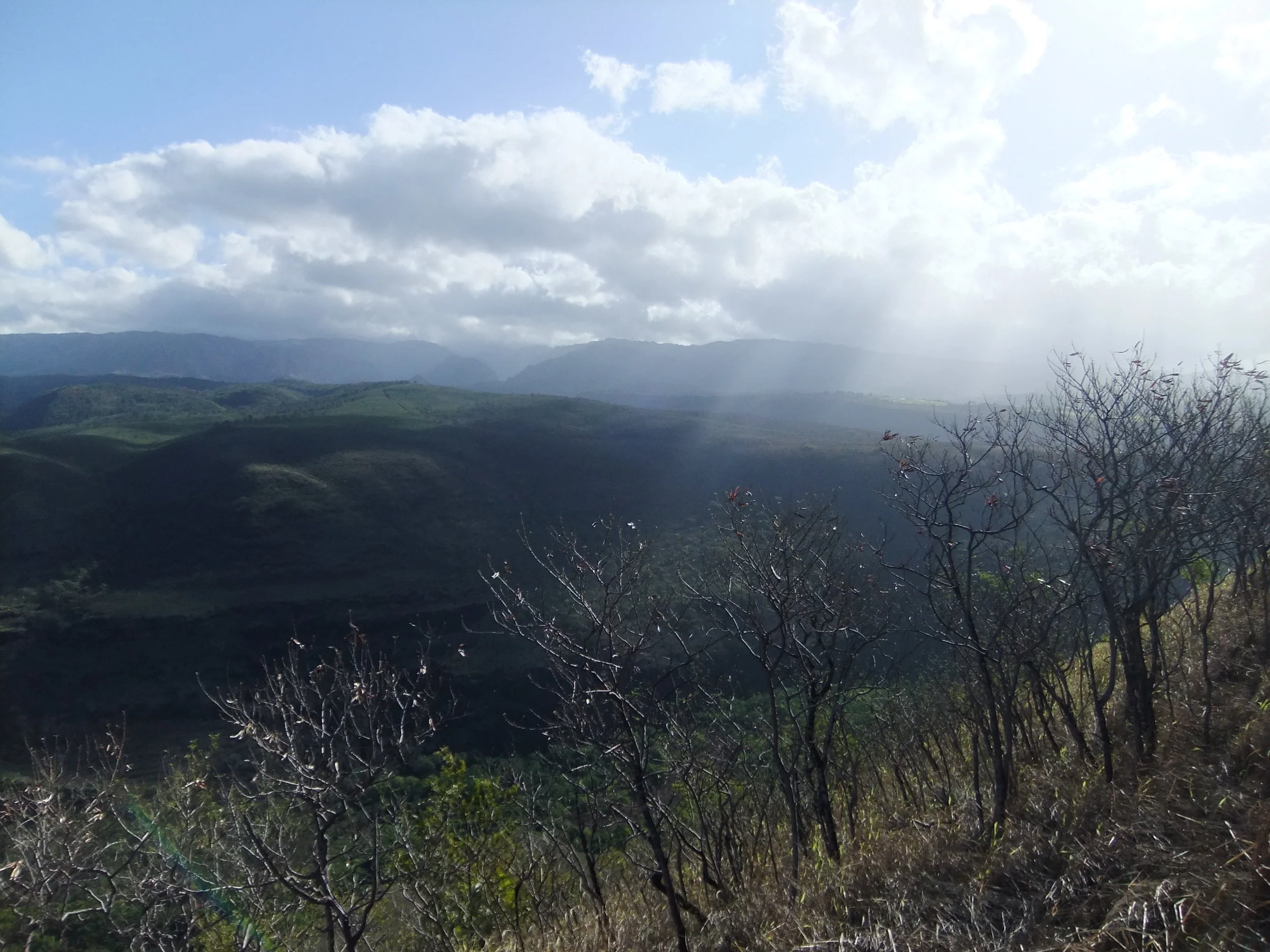 DSCF2276.JPG
