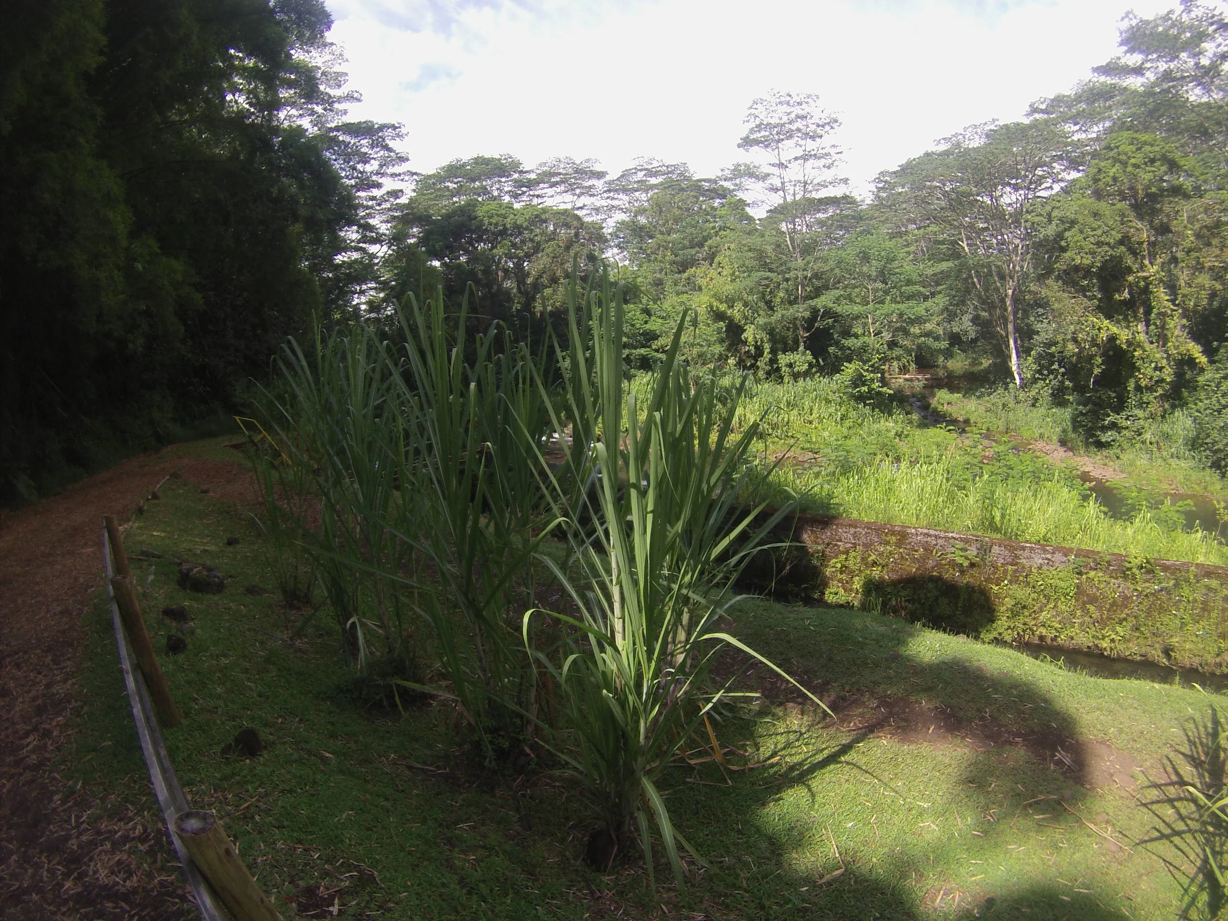 G0349159.JPG