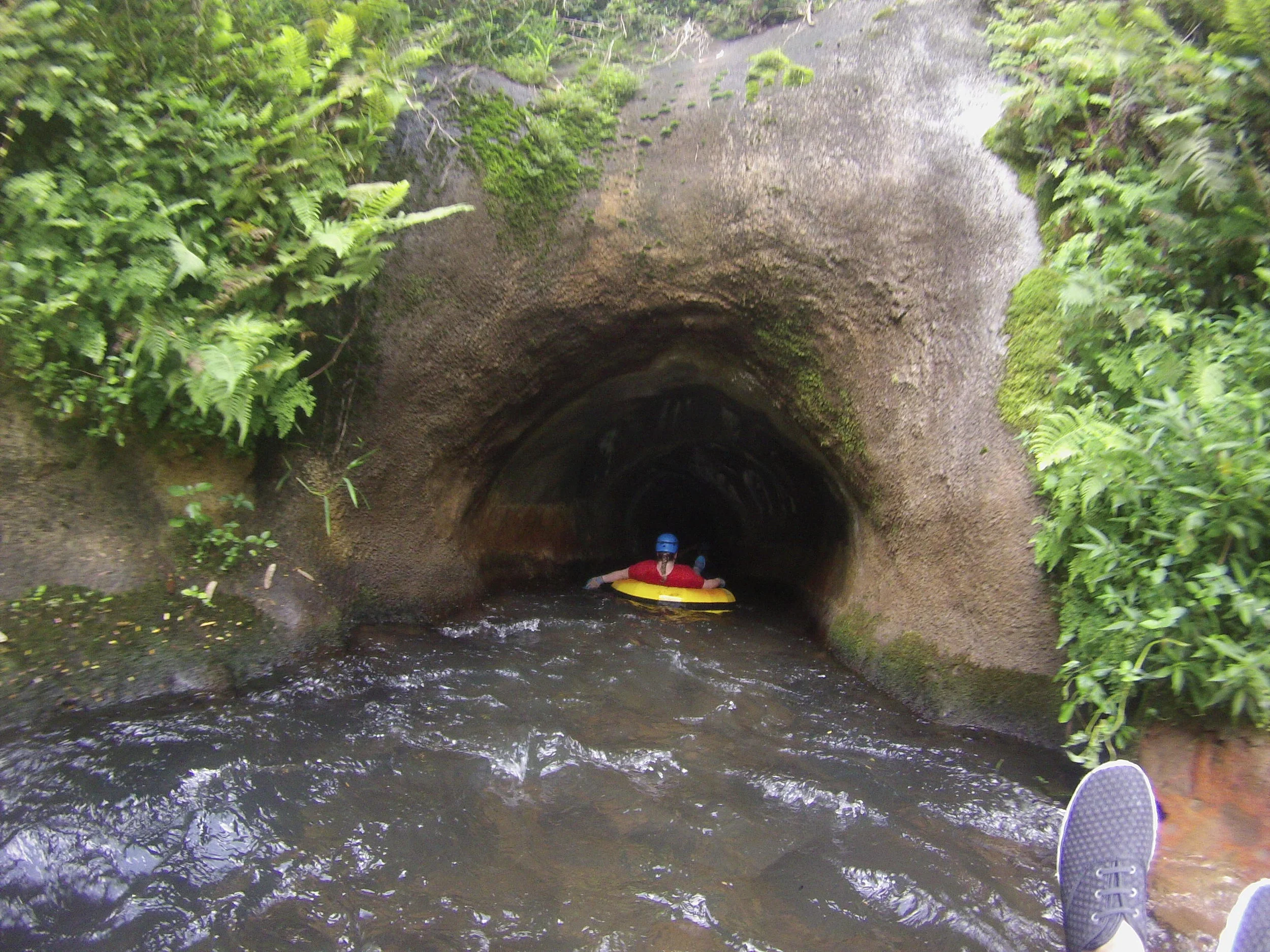 G0519386.JPG
