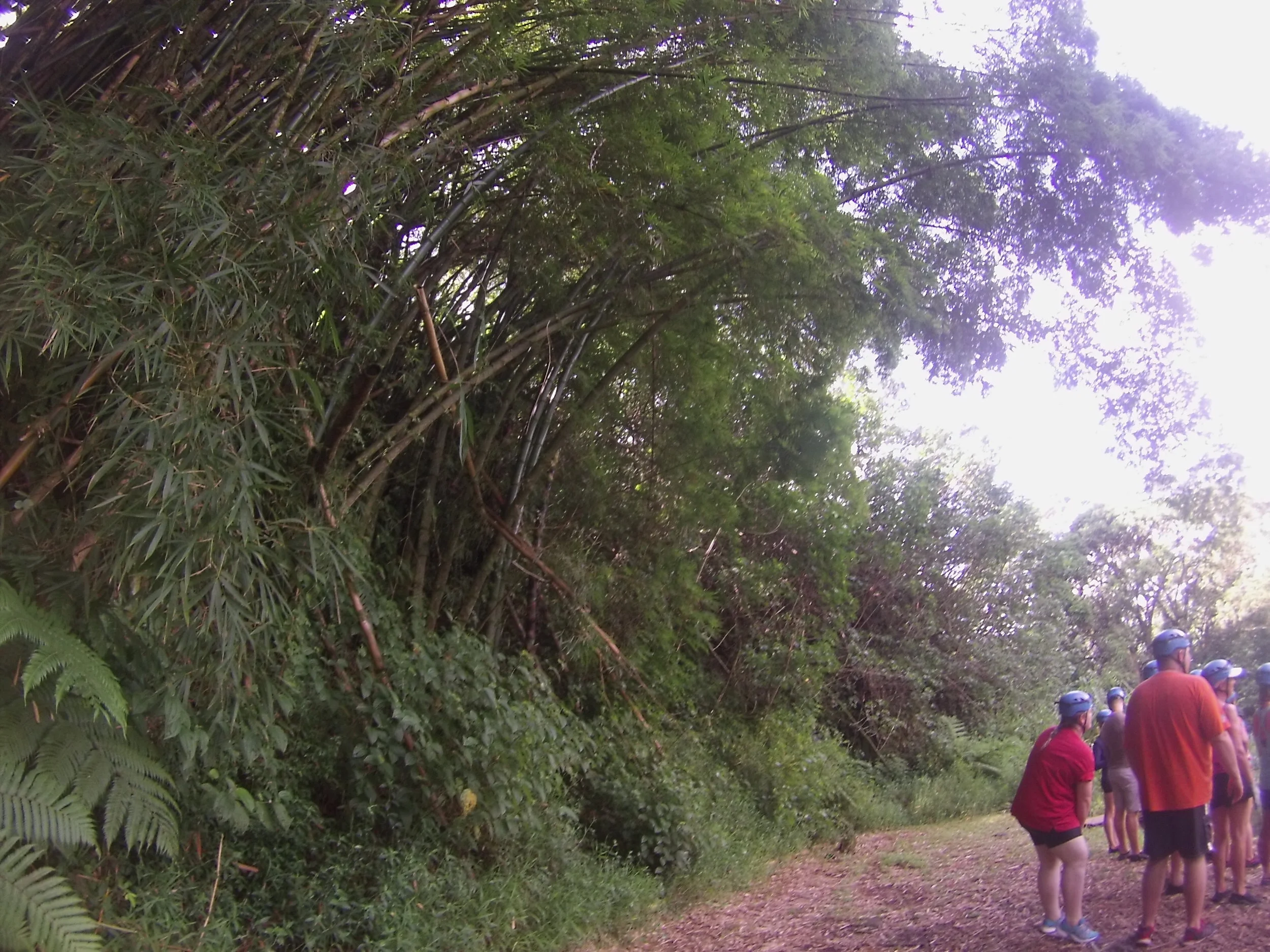 GOPR9172.JPG