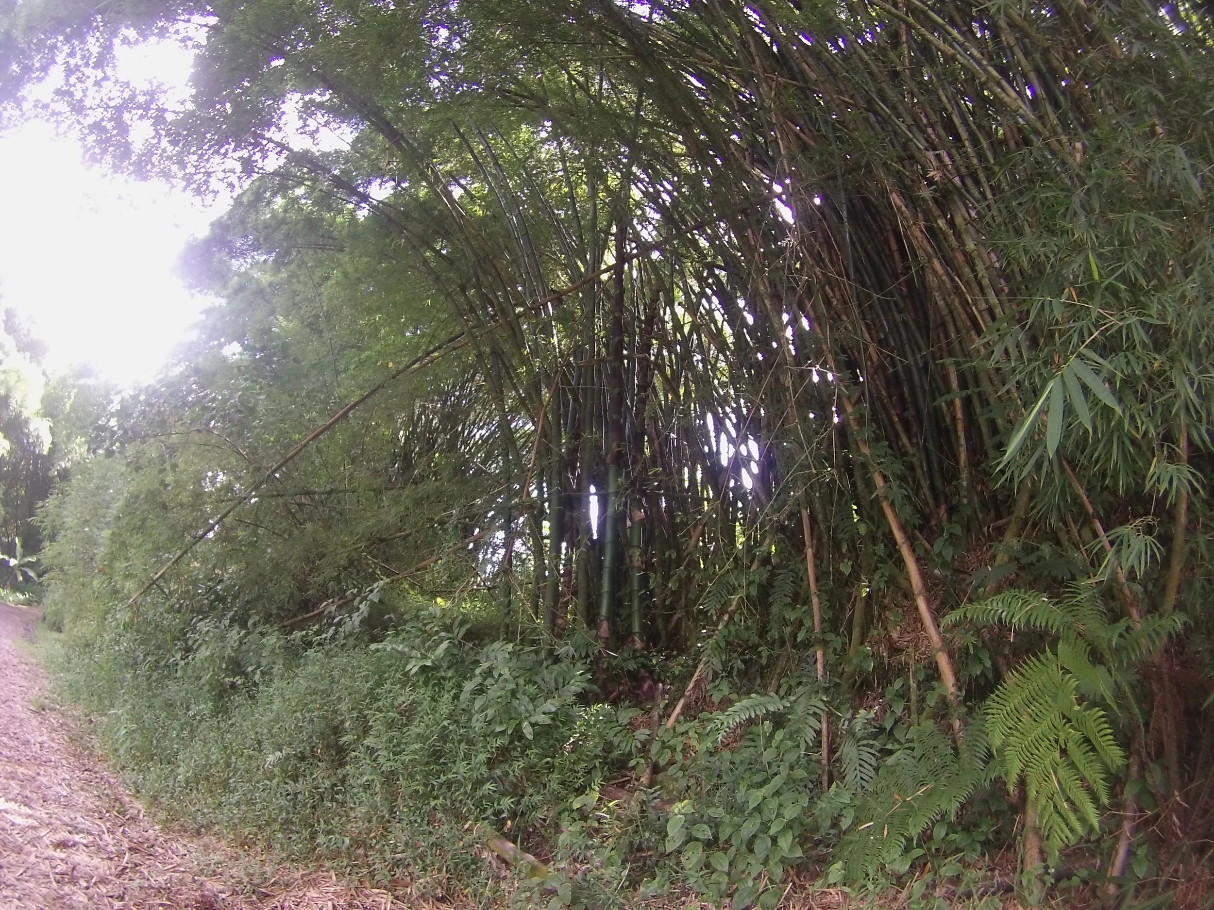 GOPR9171.JPG
