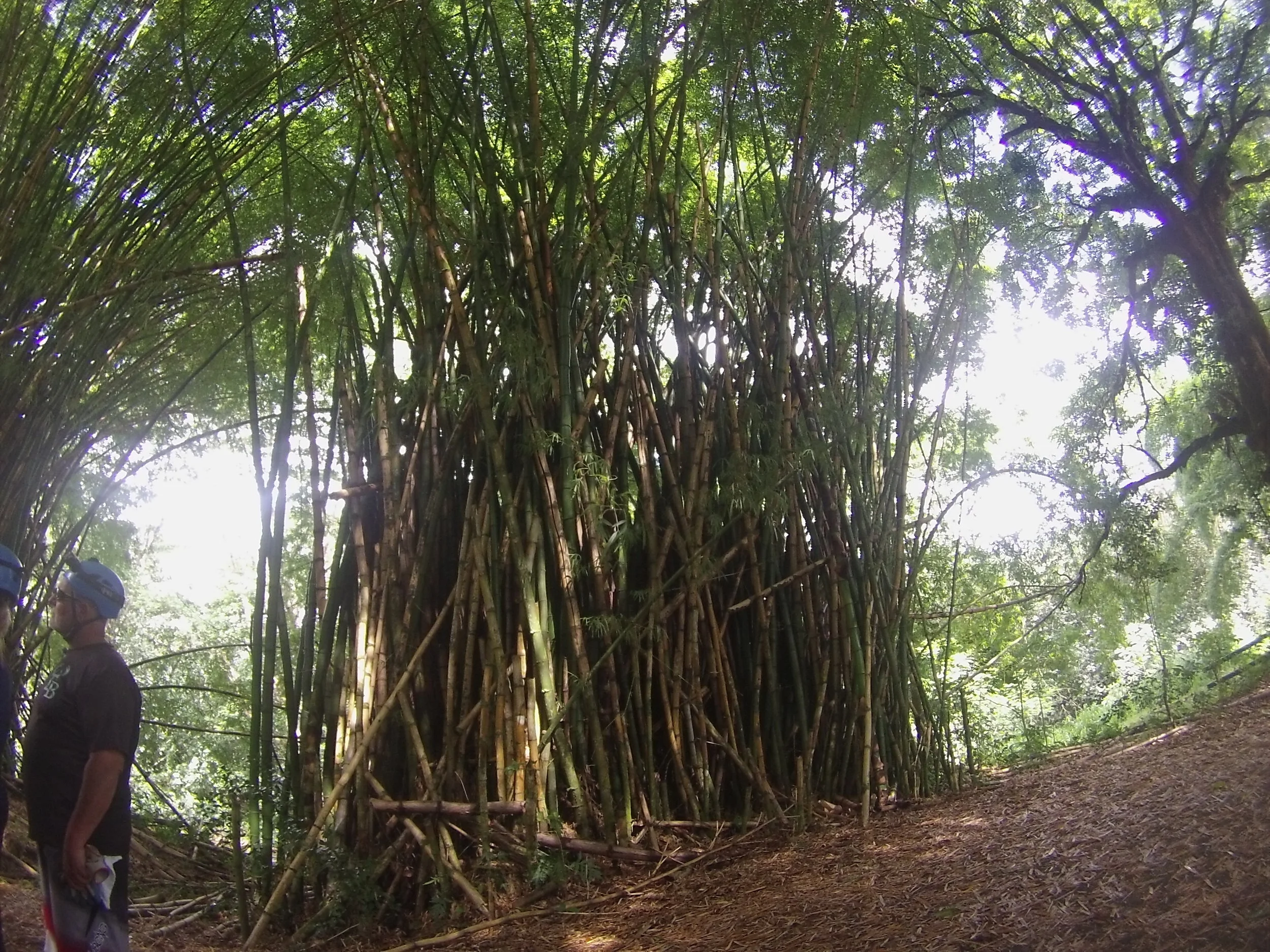 GOPR9182.JPG