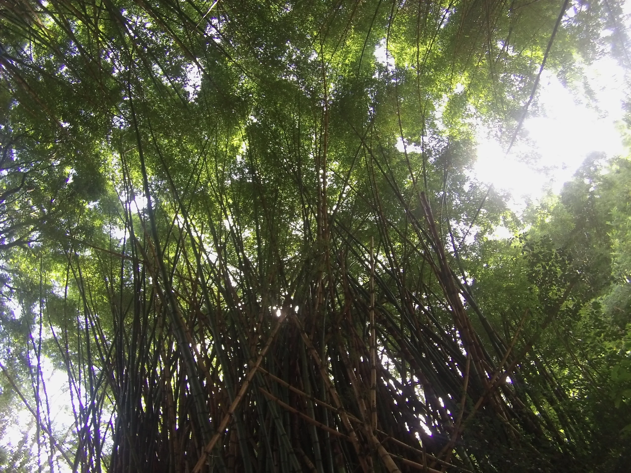 GOPR9184.JPG