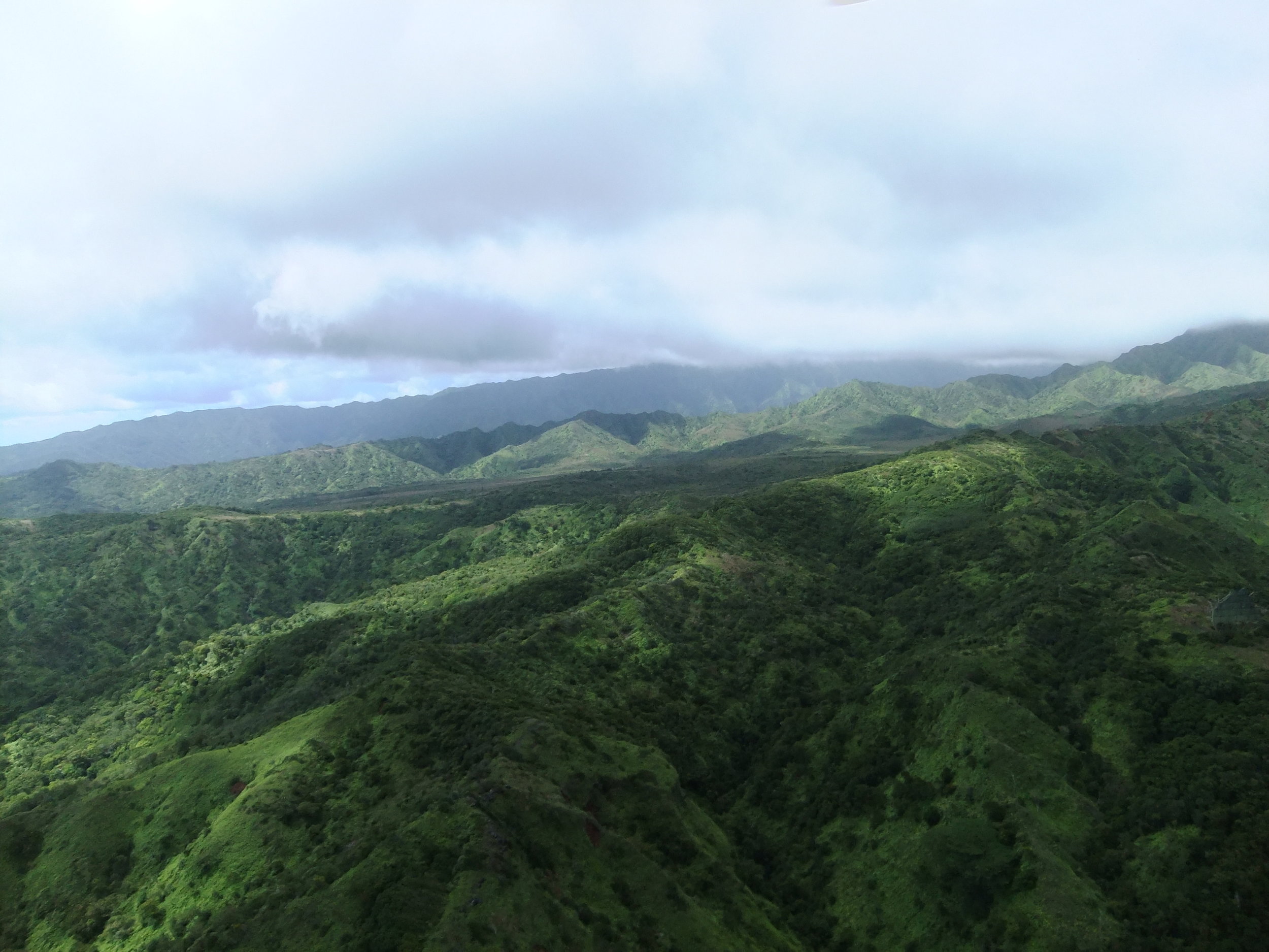 DSCF2319.JPG
