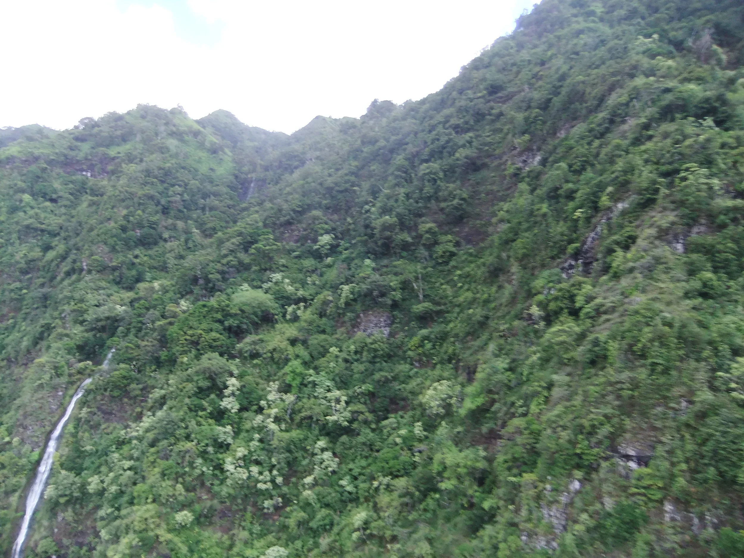 DSCF2321.JPG