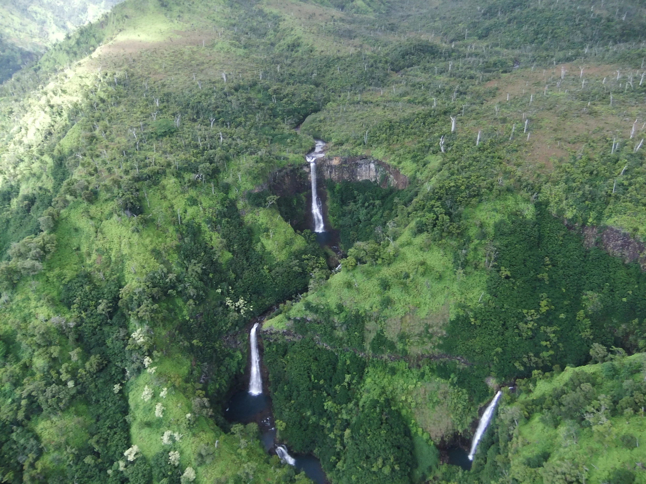 DSCF2331.JPG