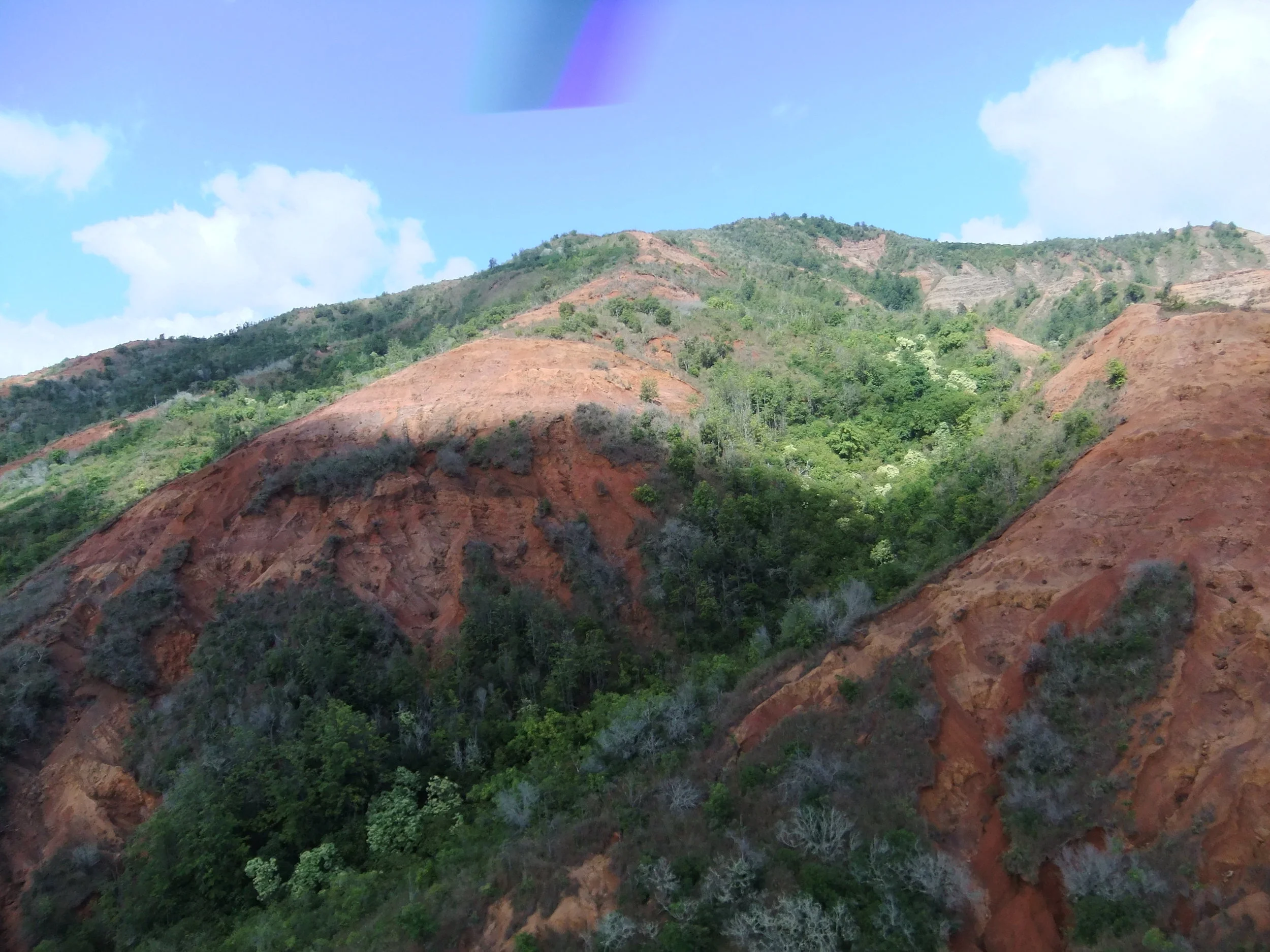 DSCF2354.JPG