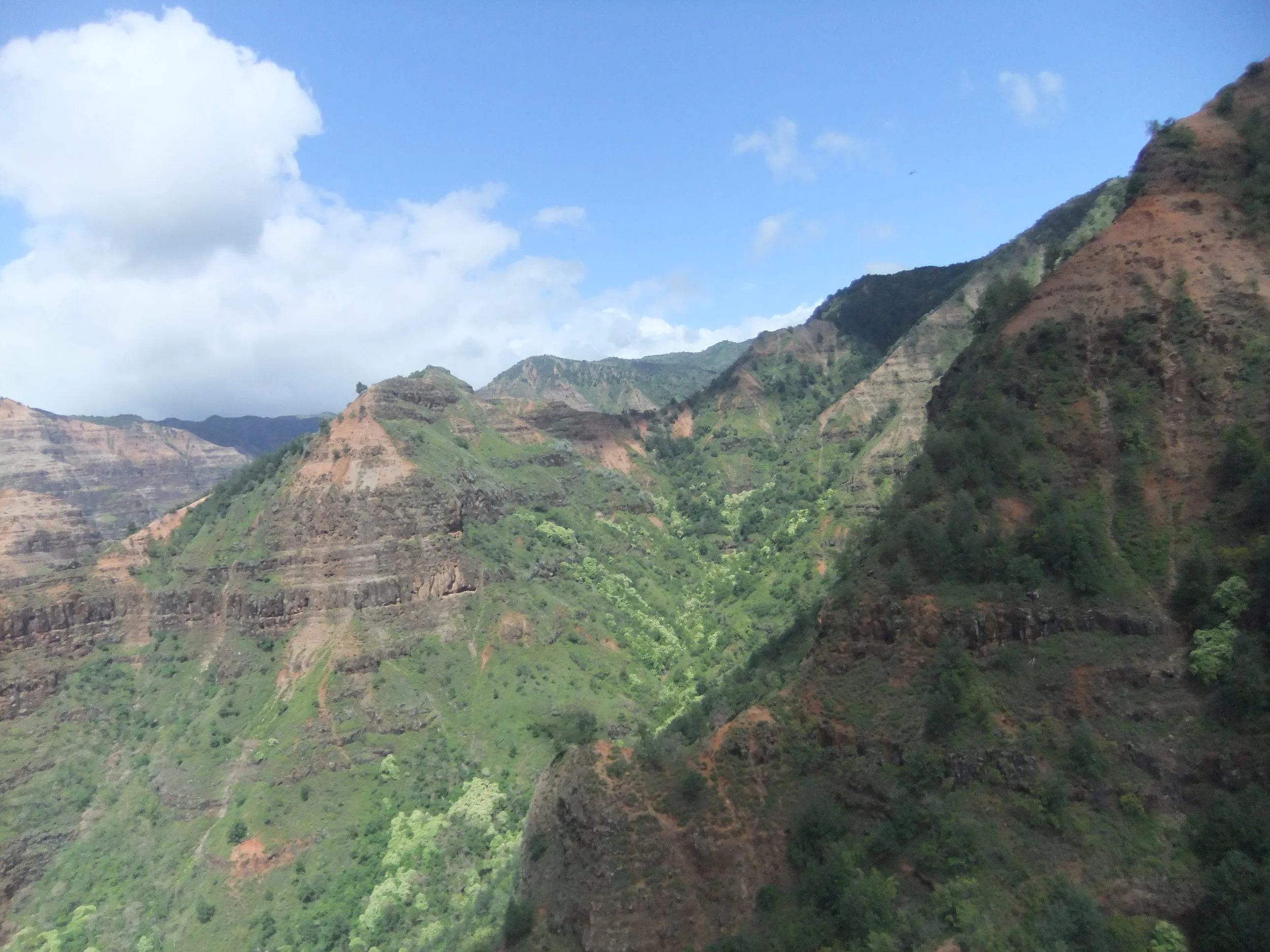DSCF2375.JPG