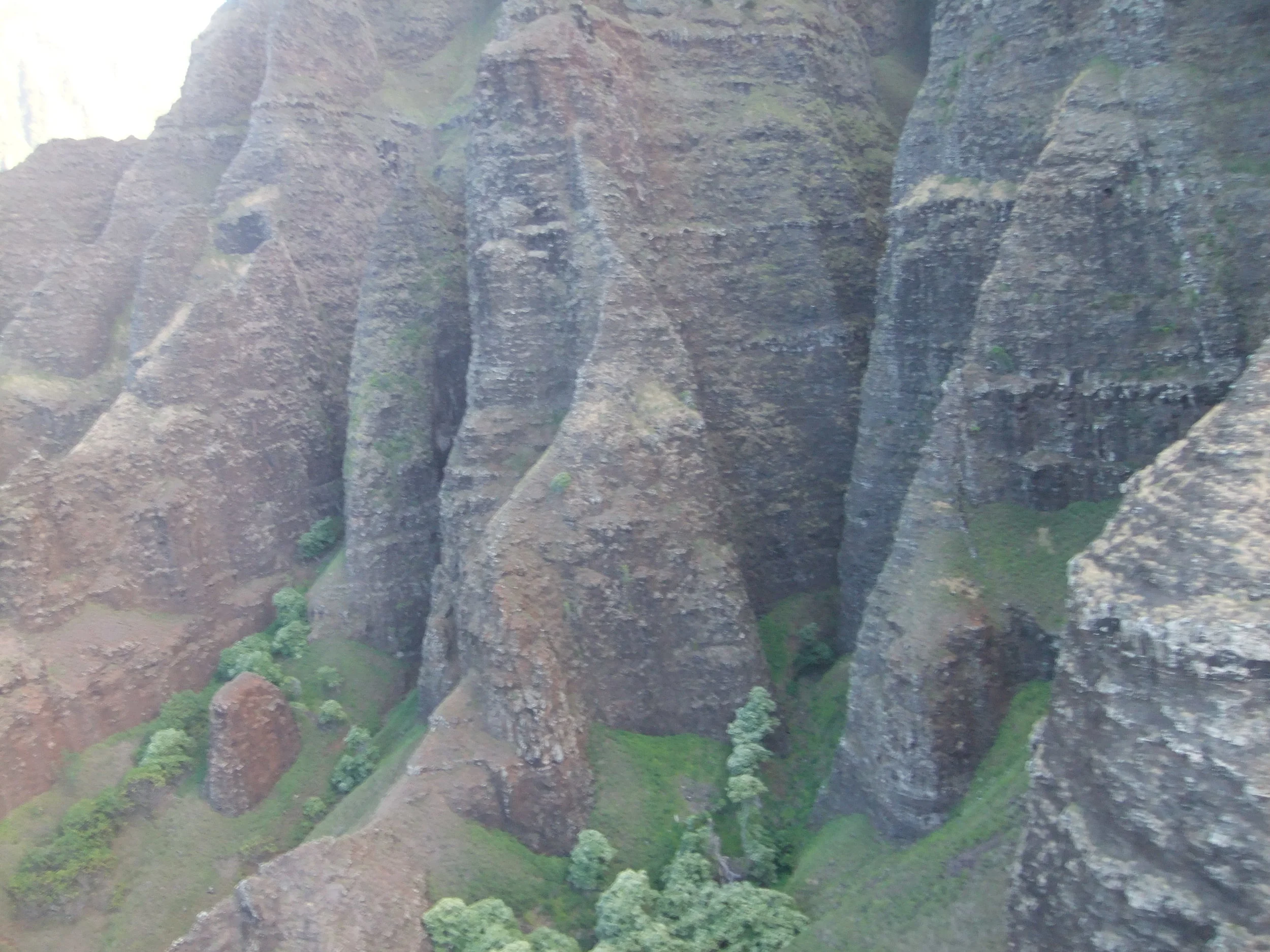DSCF2407.JPG