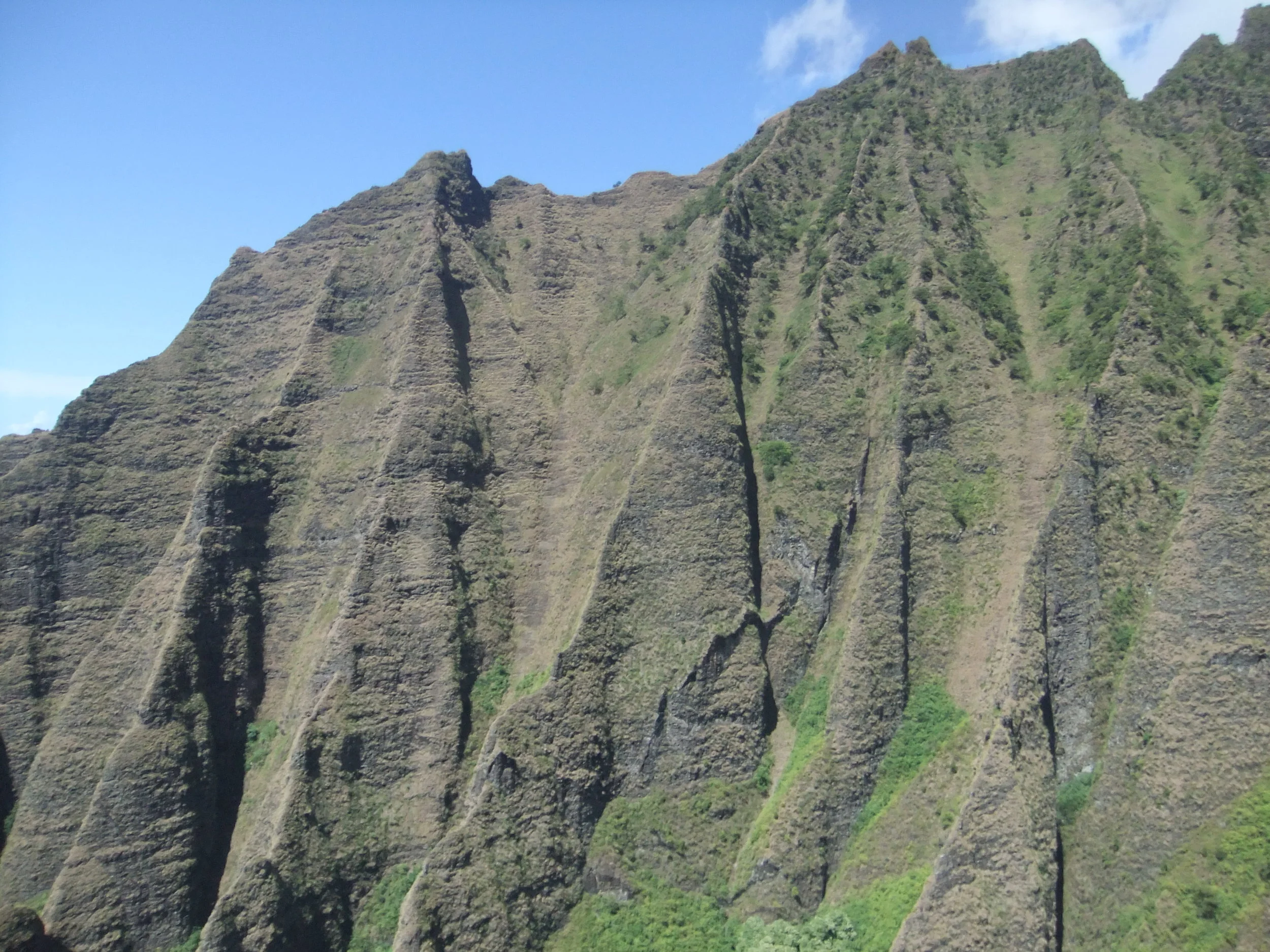 DSCF2436.JPG