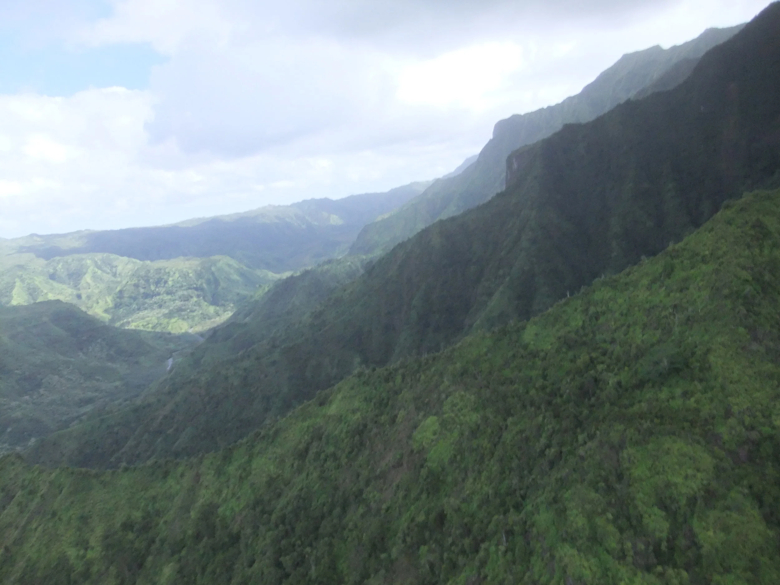DSCF2484.JPG