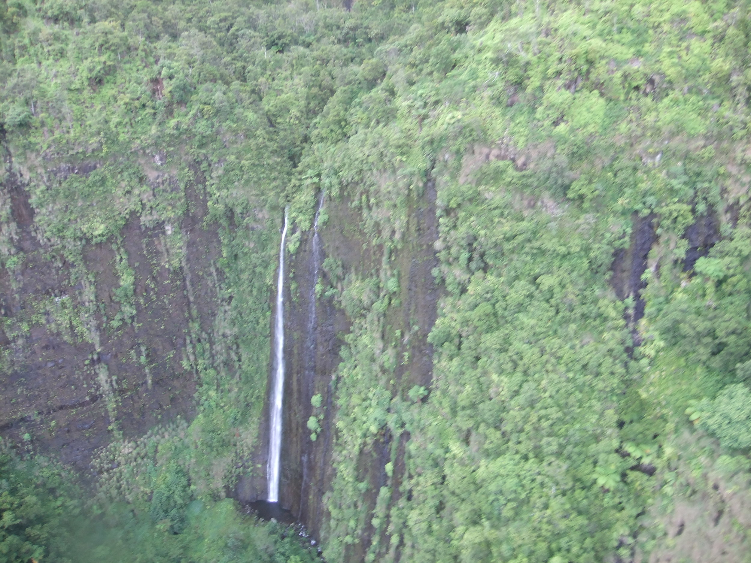 DSCF2490.JPG