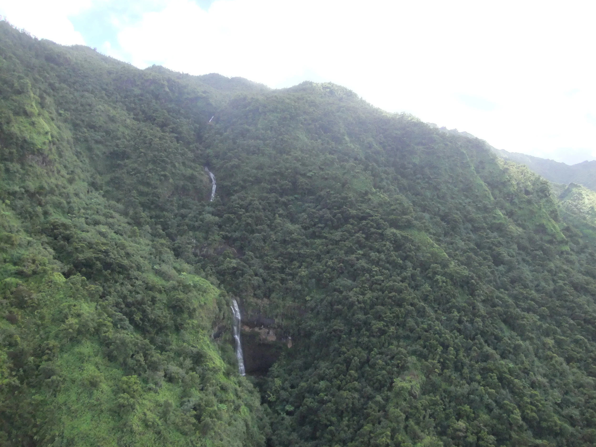 DSCF2498.JPG