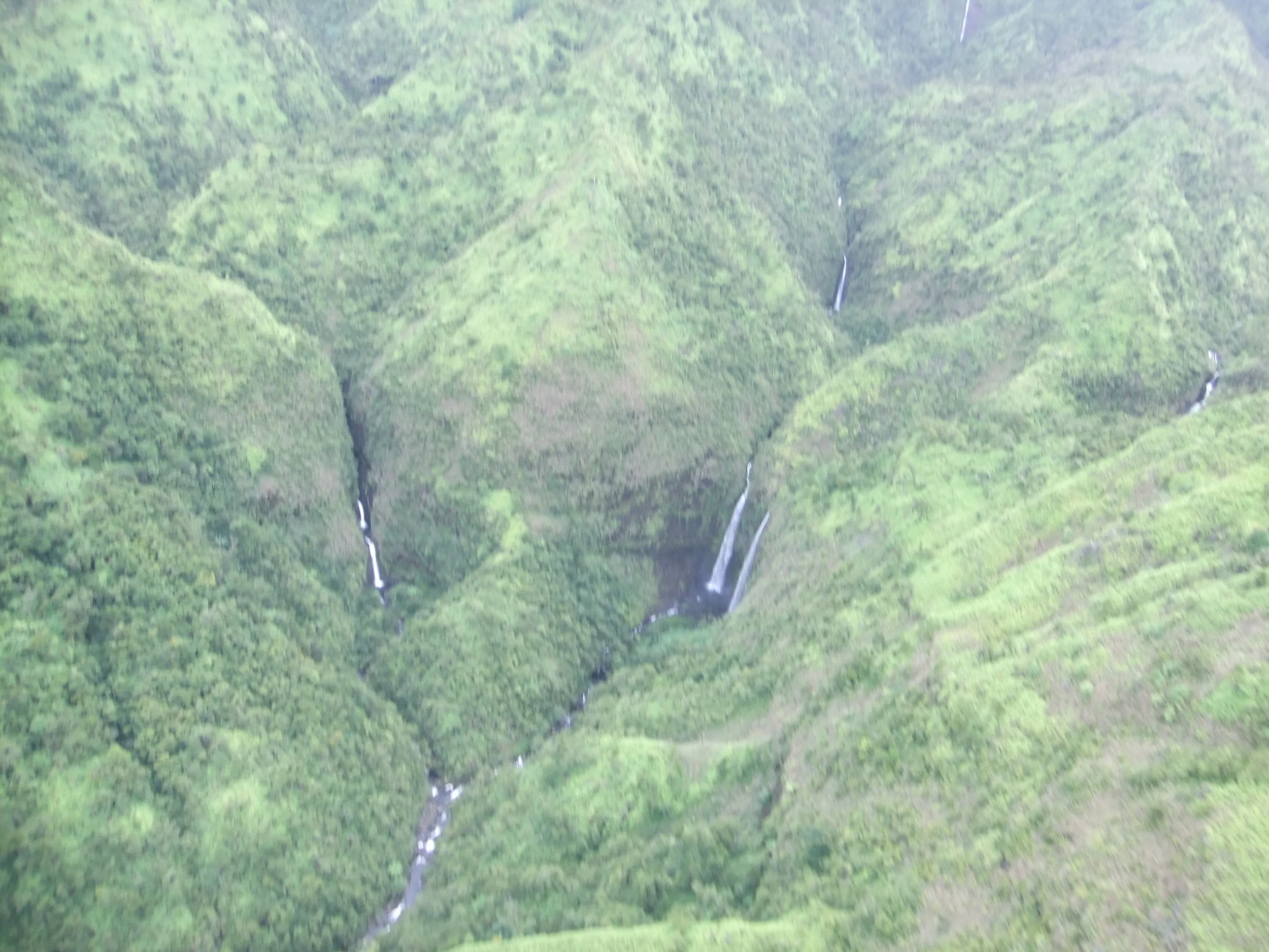 DSCF2507.JPG