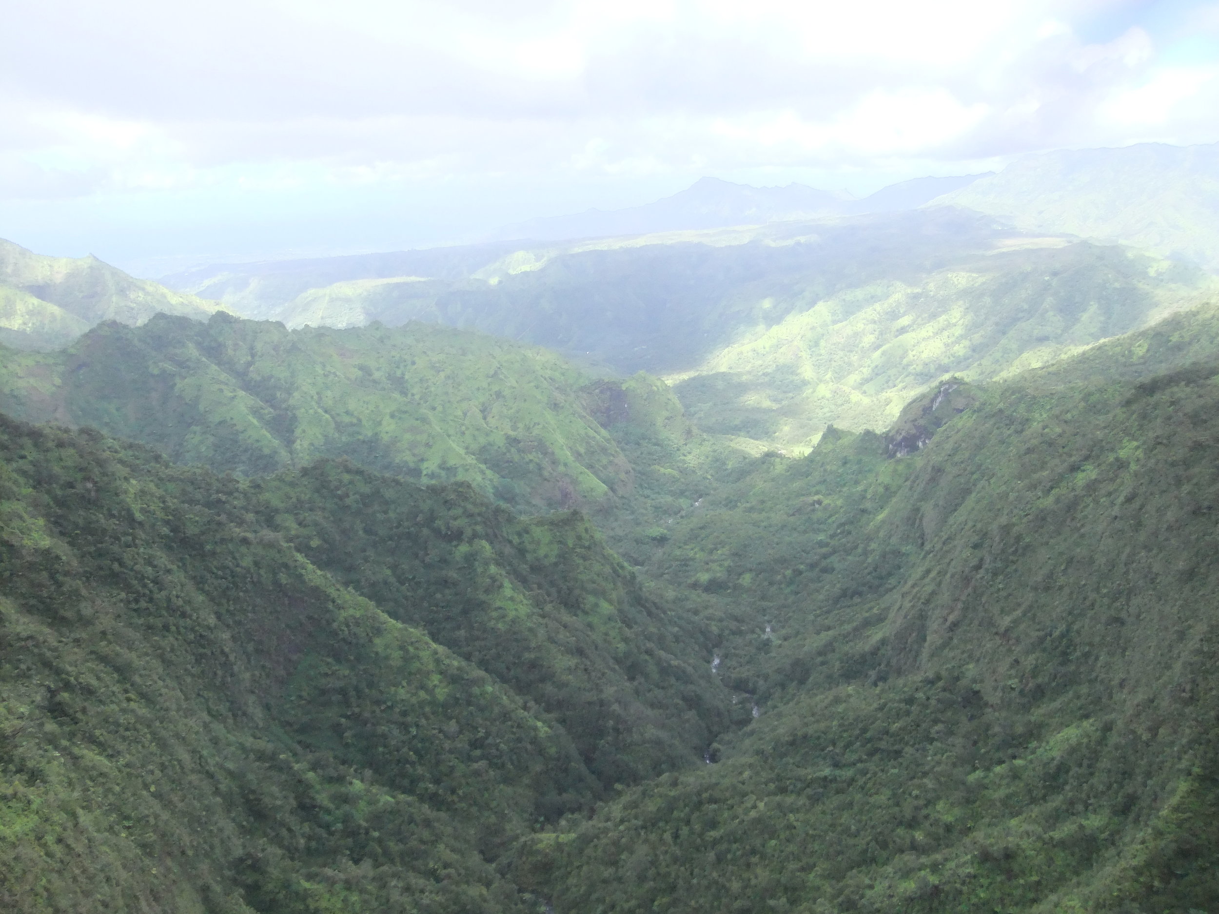 DSCF2514.JPG