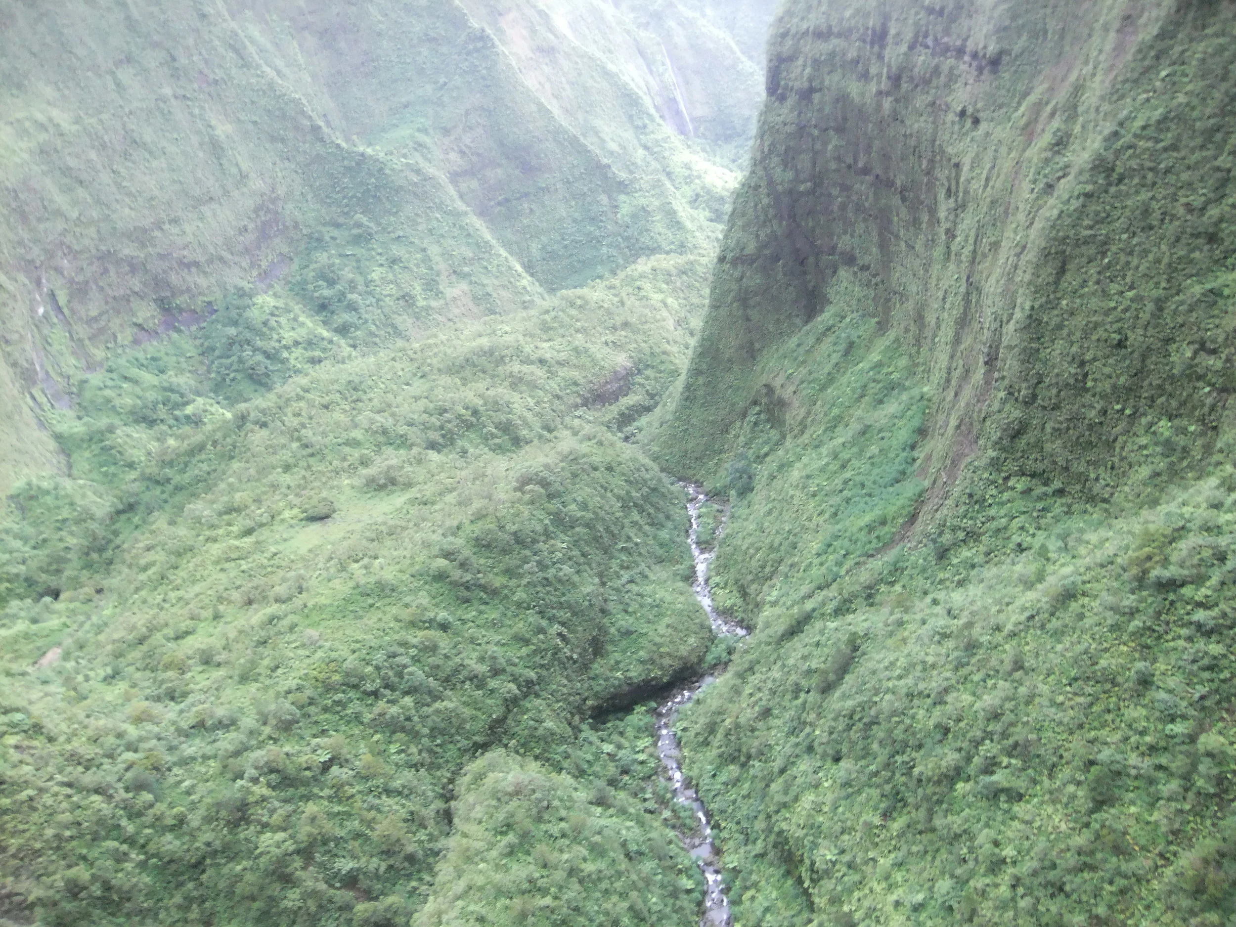 DSCF2538.JPG