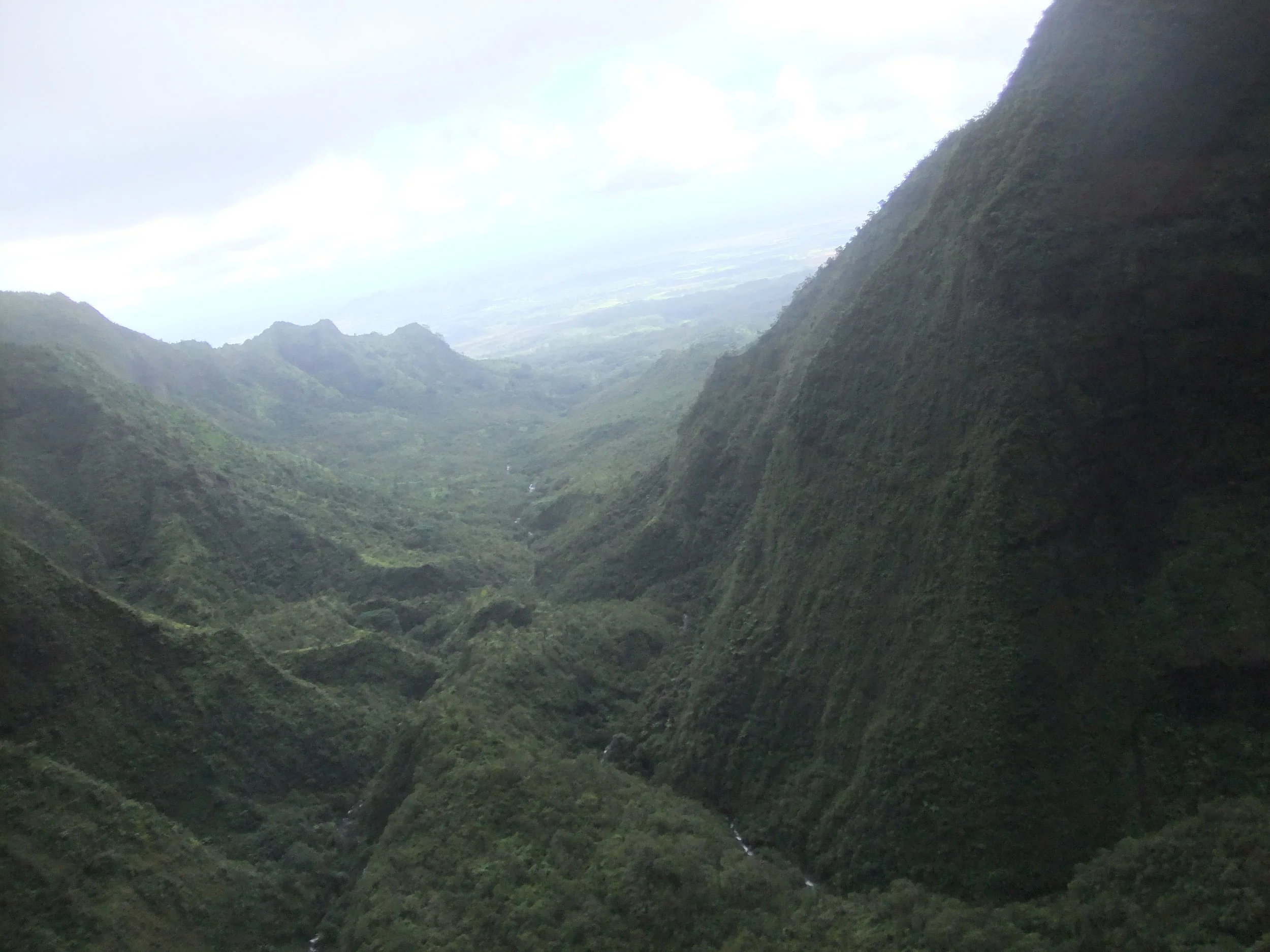 DSCF2542.JPG