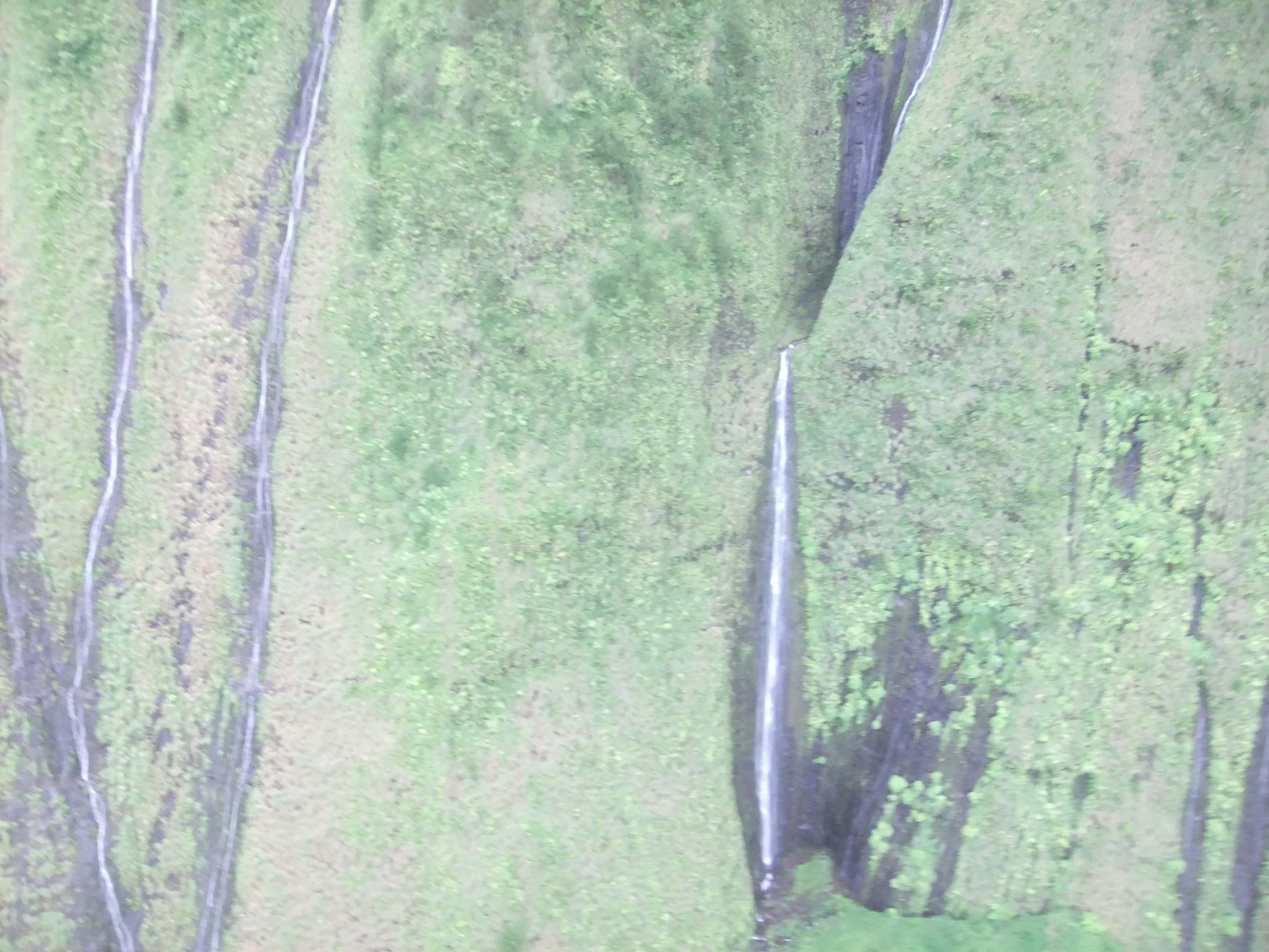 DSCF2543.JPG