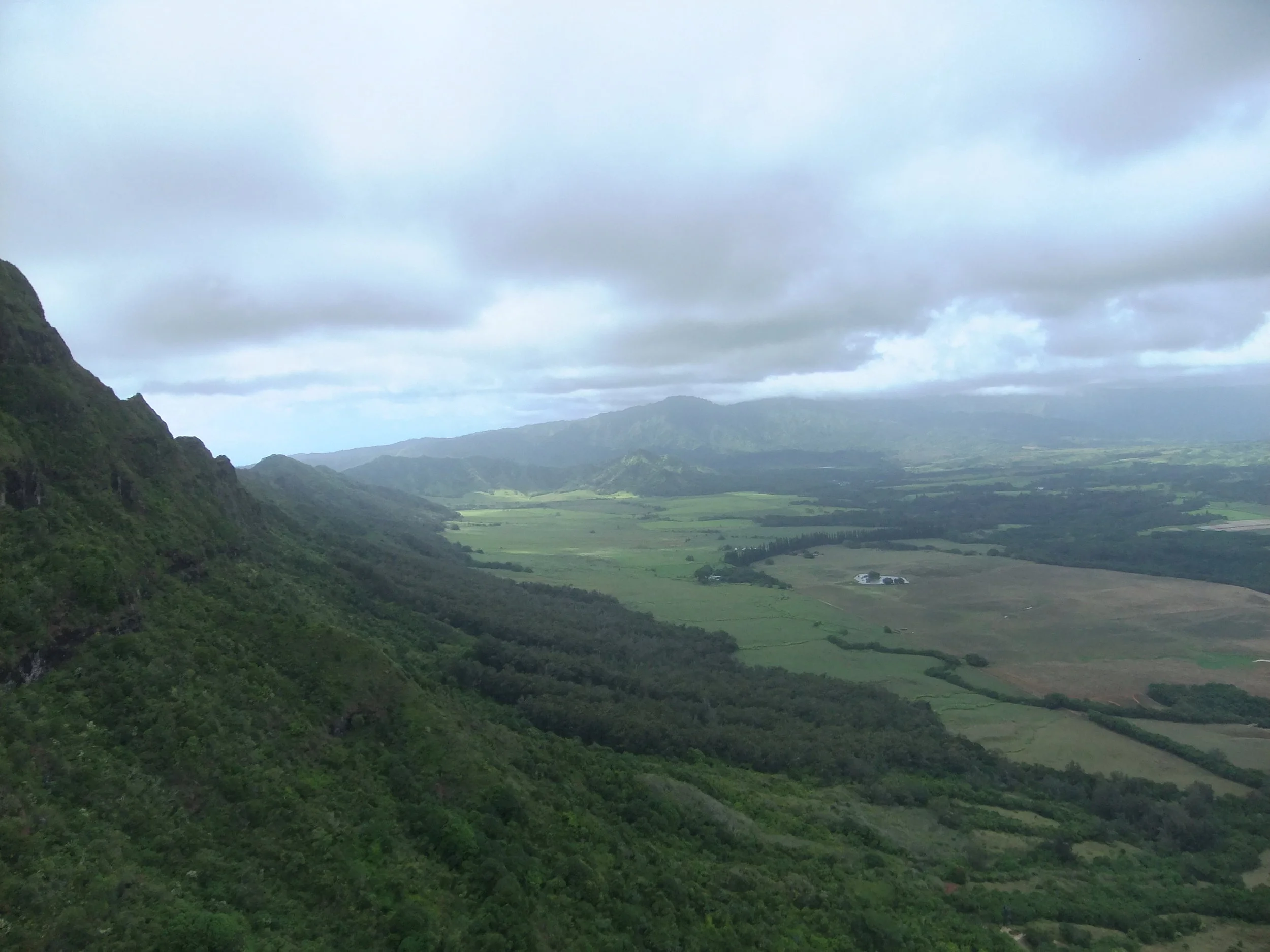 DSCF2311.JPG