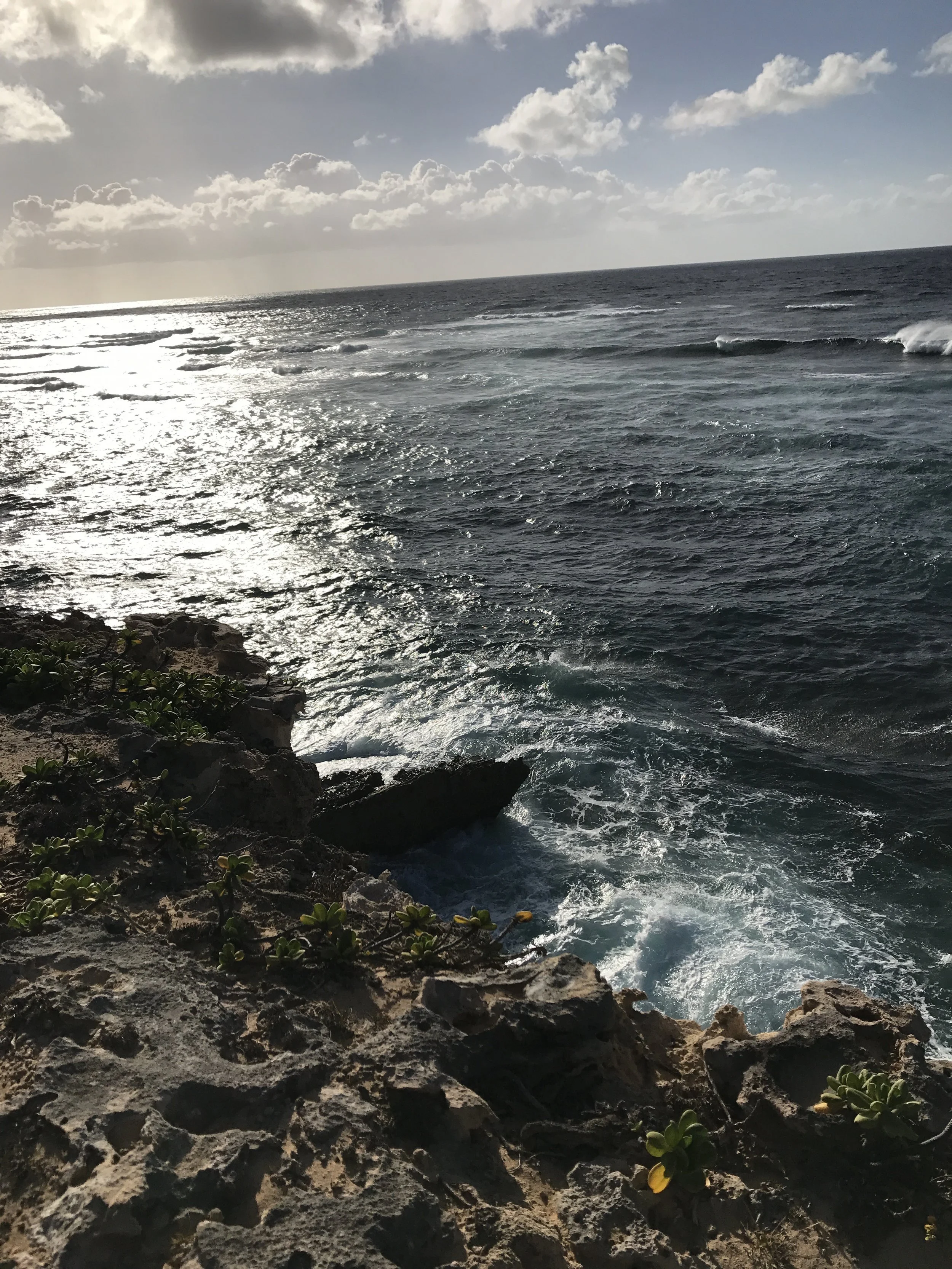 IMG_9893.jpg