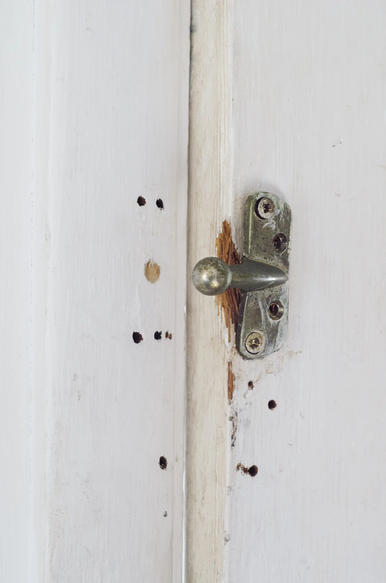 doorhook.jpg