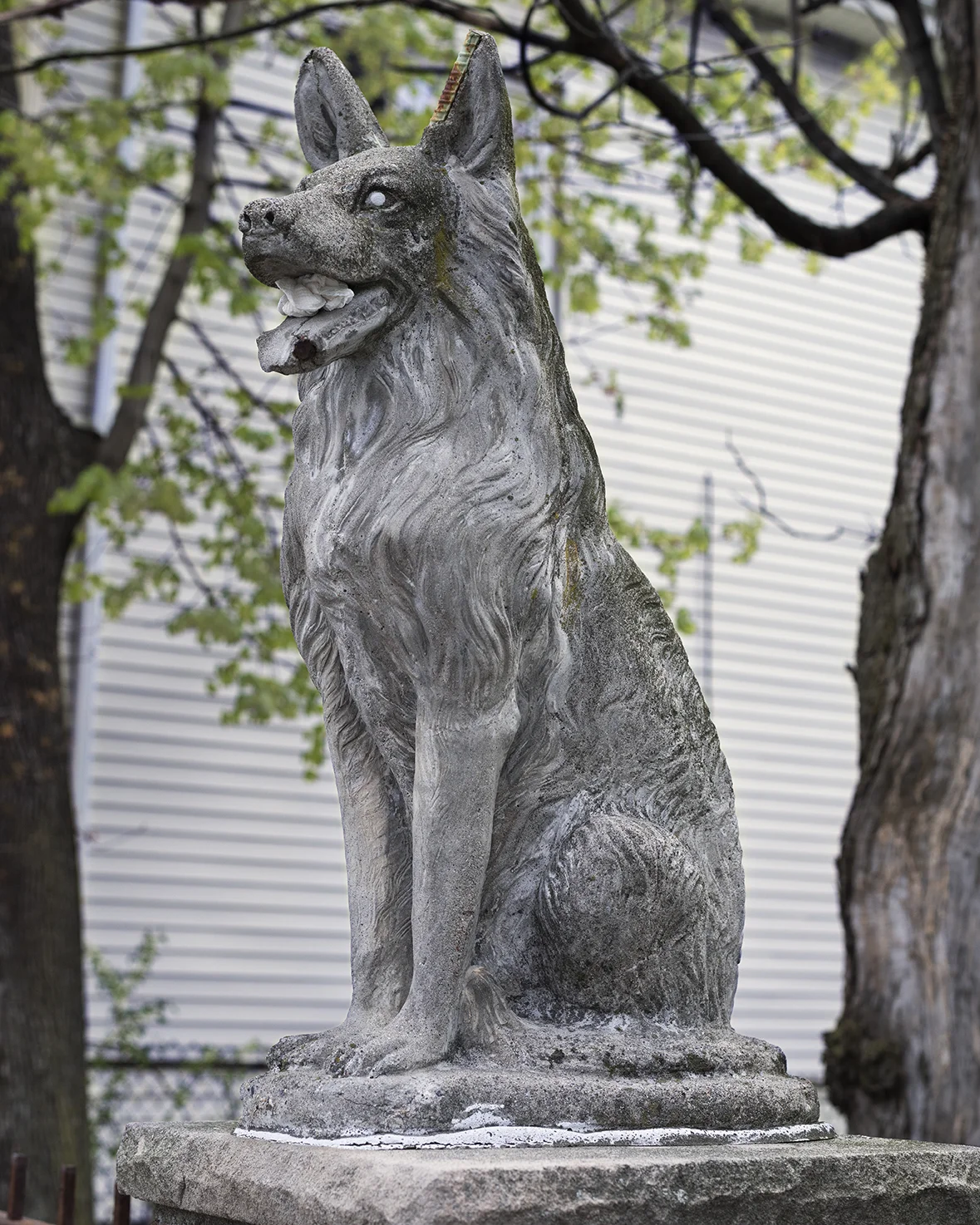 DogStatue_website.jpg