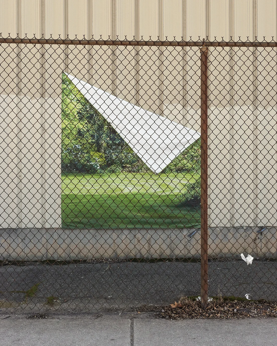 grassbanner_edit_website.jpg