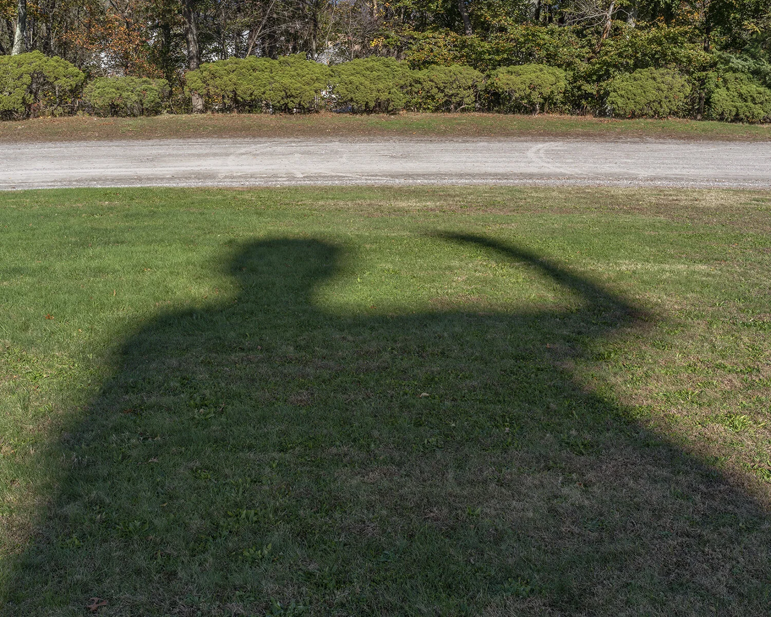 81FootTallStatue.jpg