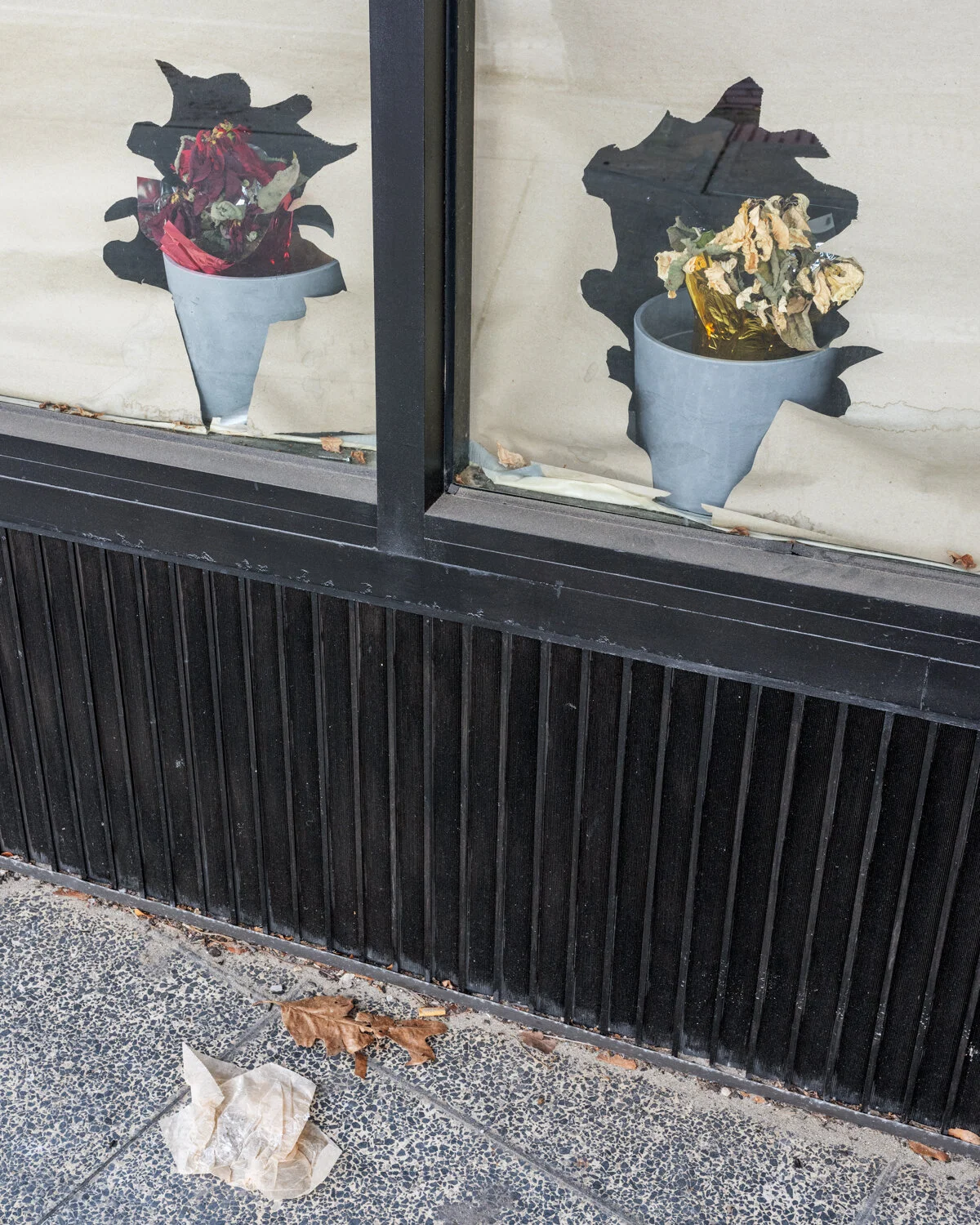 DeadFlowers.jpg