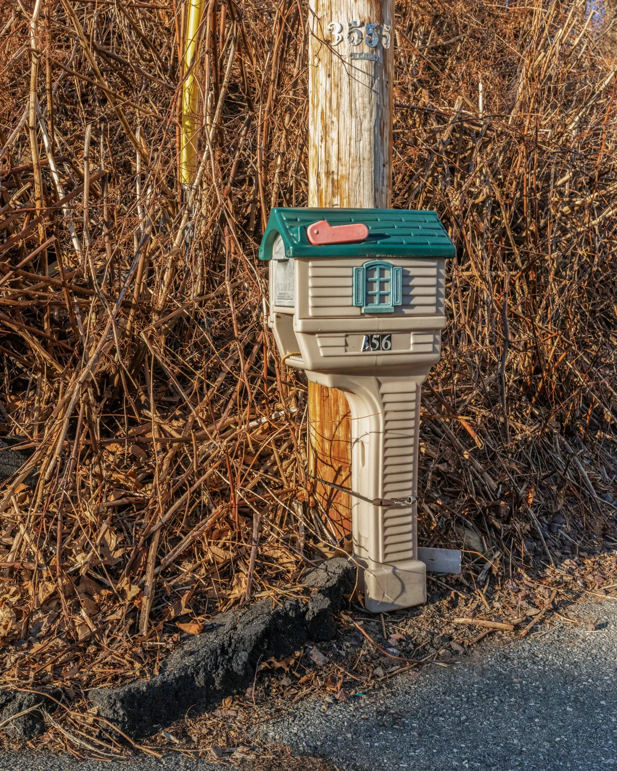 HouseMailbox.jpg