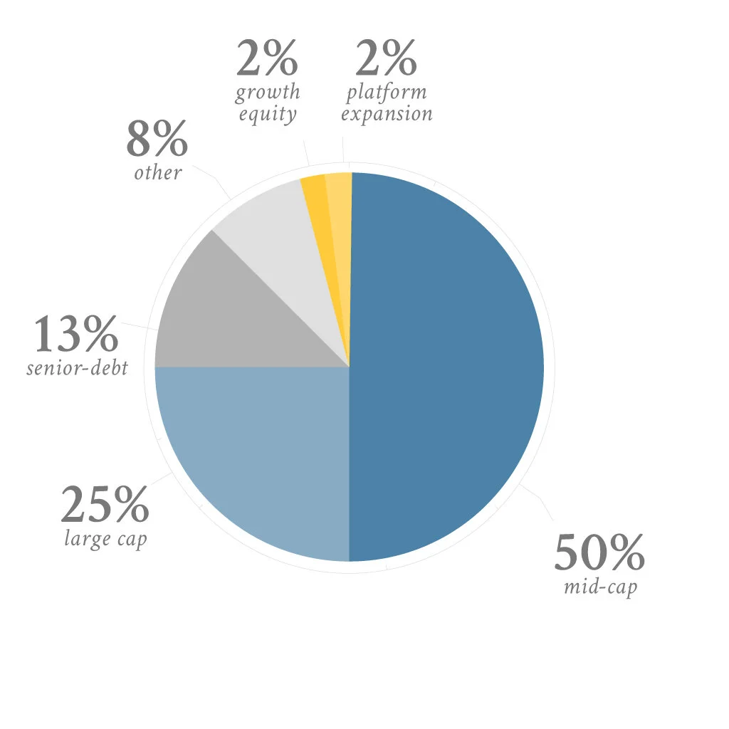 Private Equity Strategy