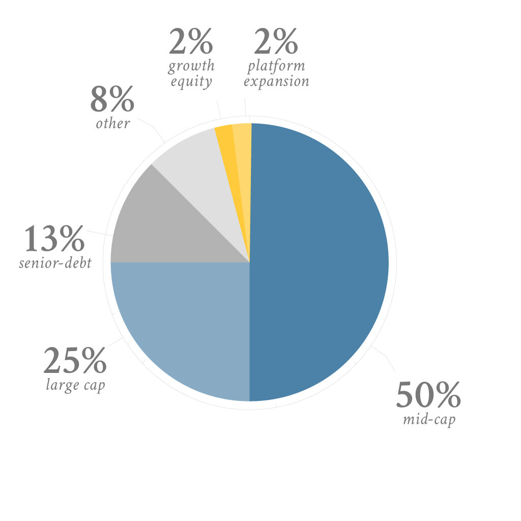Private Equity Strategy